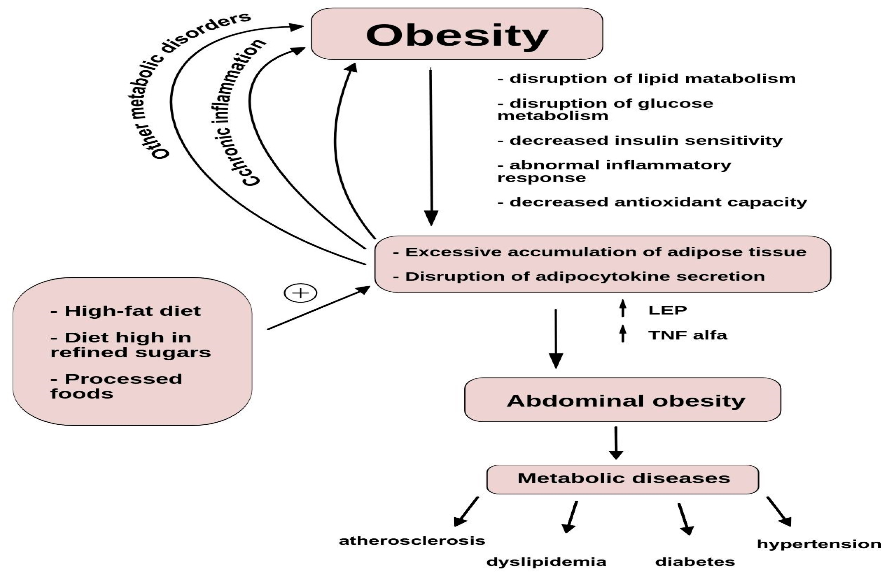 Nutrients 16 03562 g001