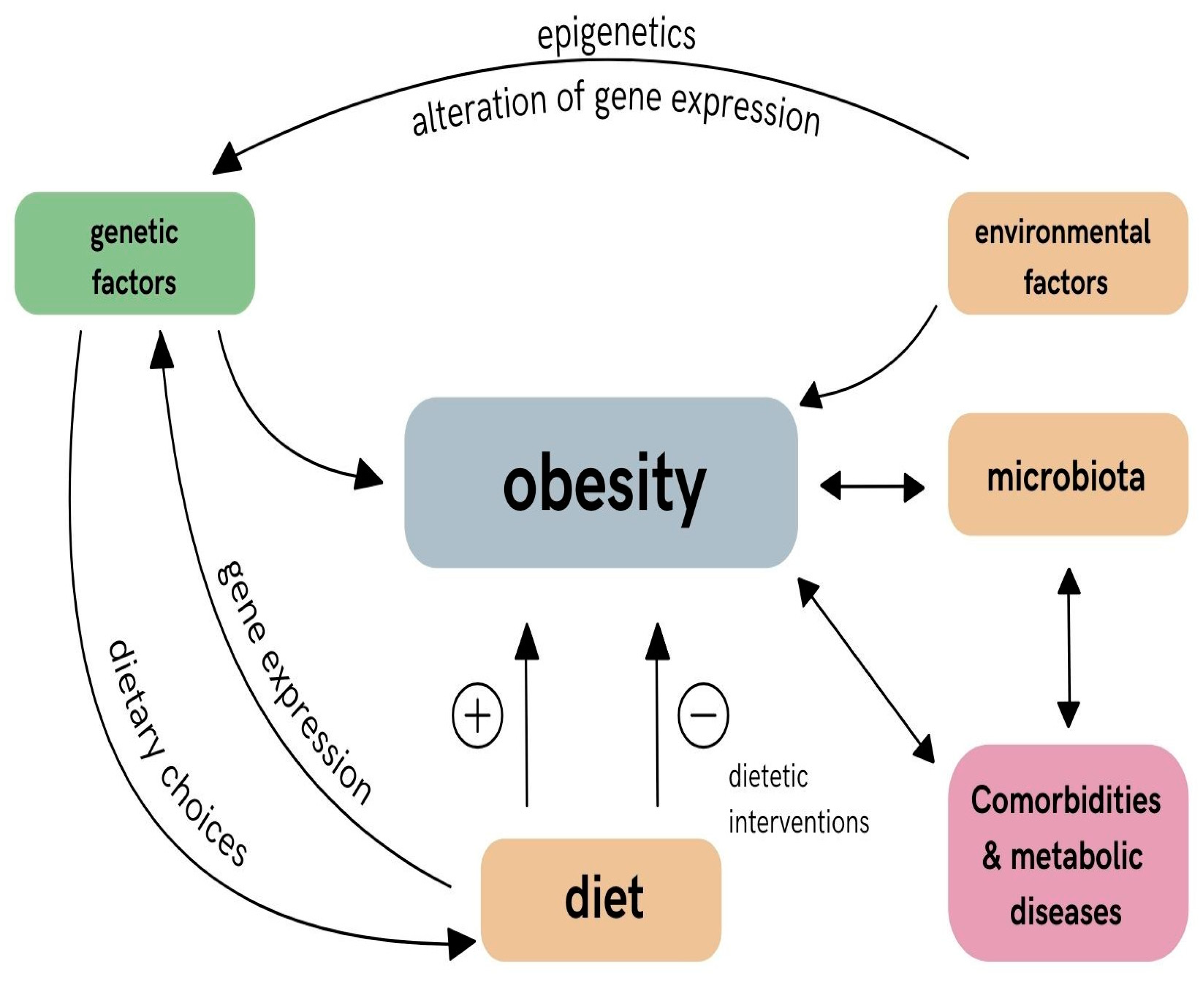 Nutrients 16 03562 g002