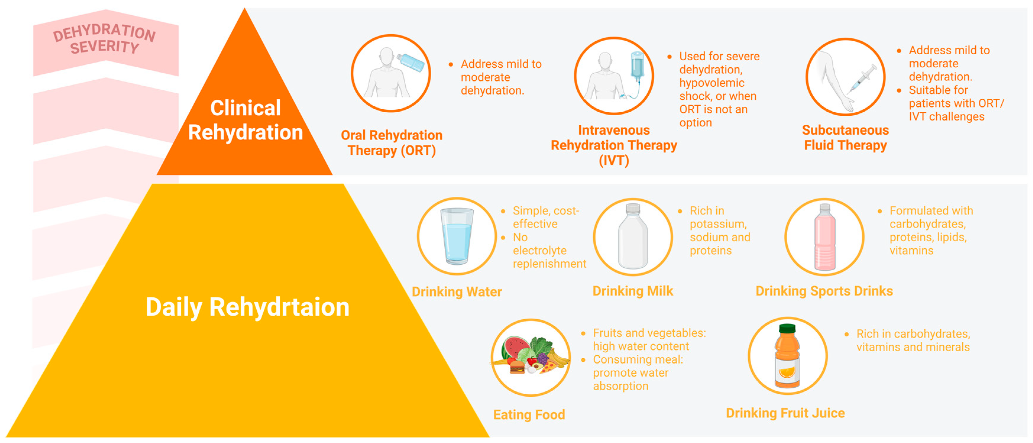 Nutrients 16 03566 g003 Nutrients 16 03566 g003