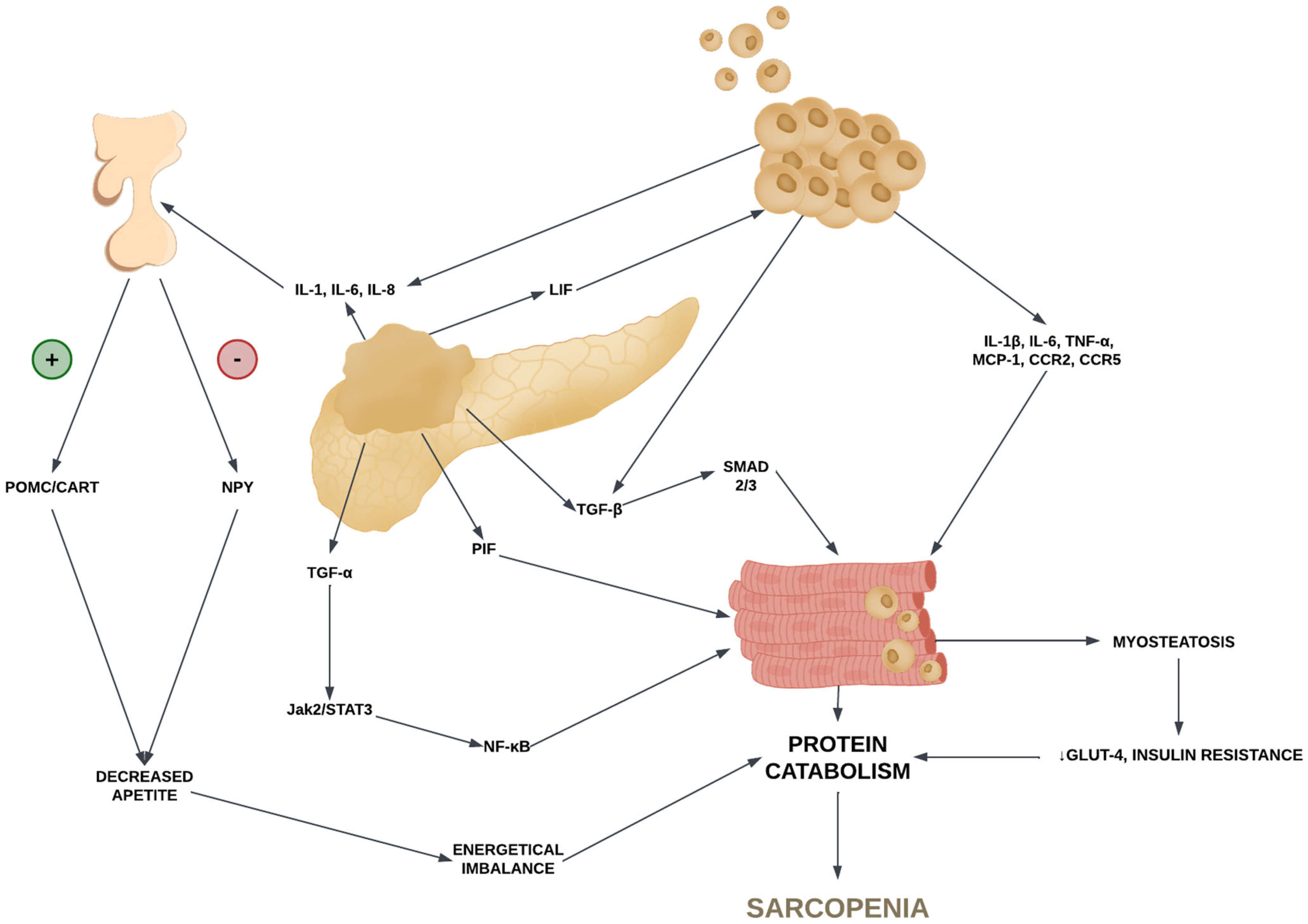 Nutrients 16 03569 g001