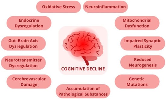 Nutrients 16 03570 g001