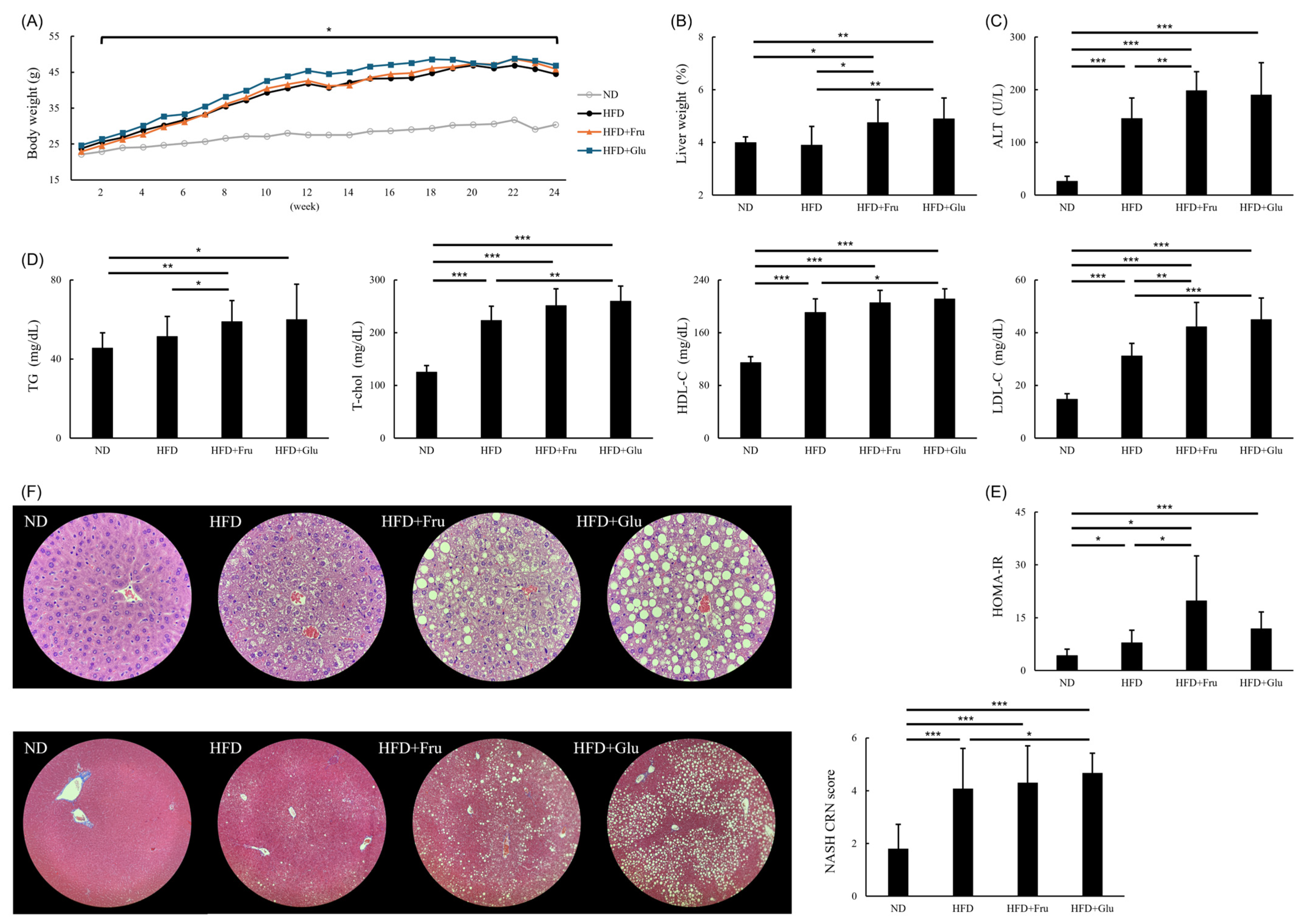 Nutrients 16 03571 g001