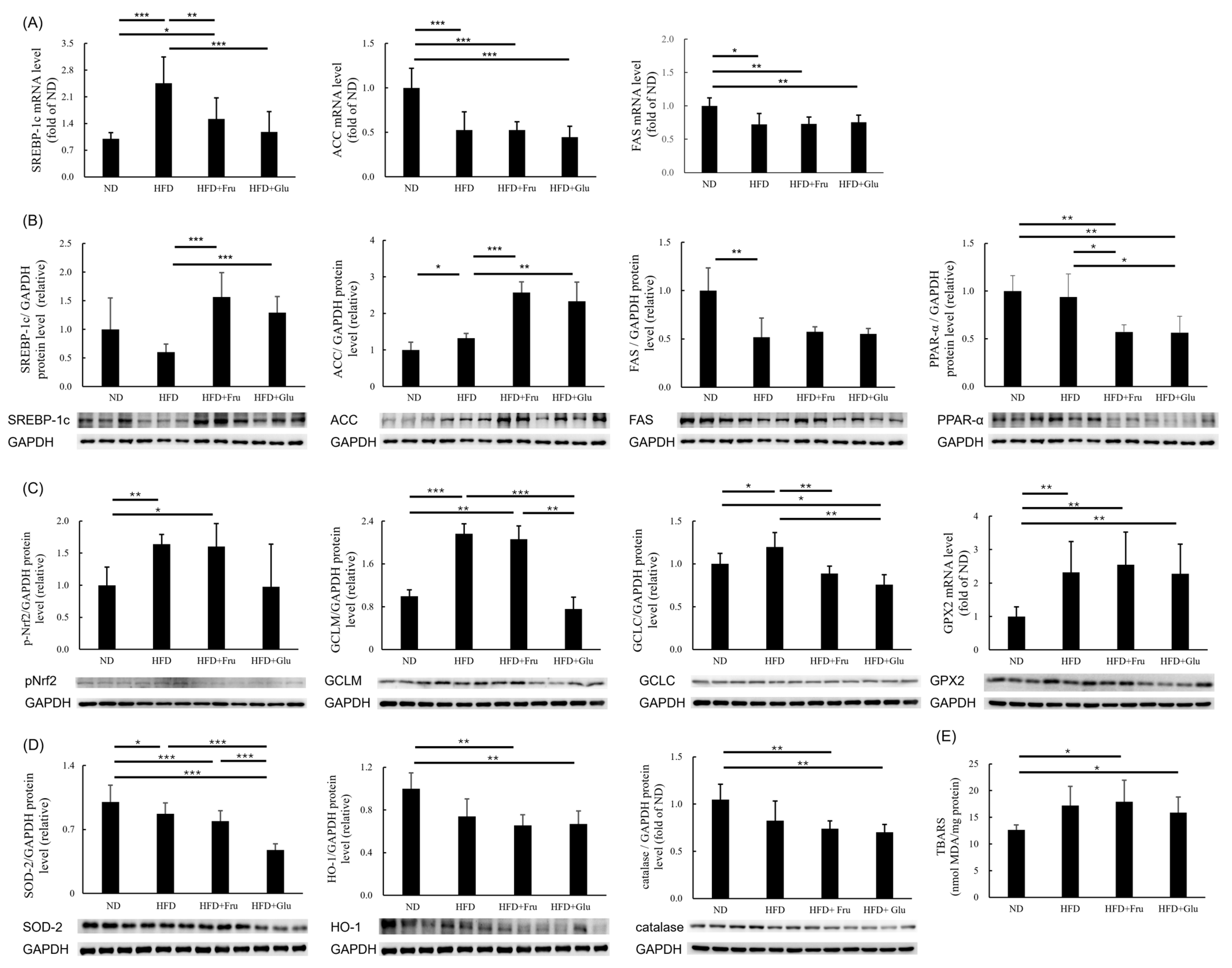 Nutrients 16 03571 g002