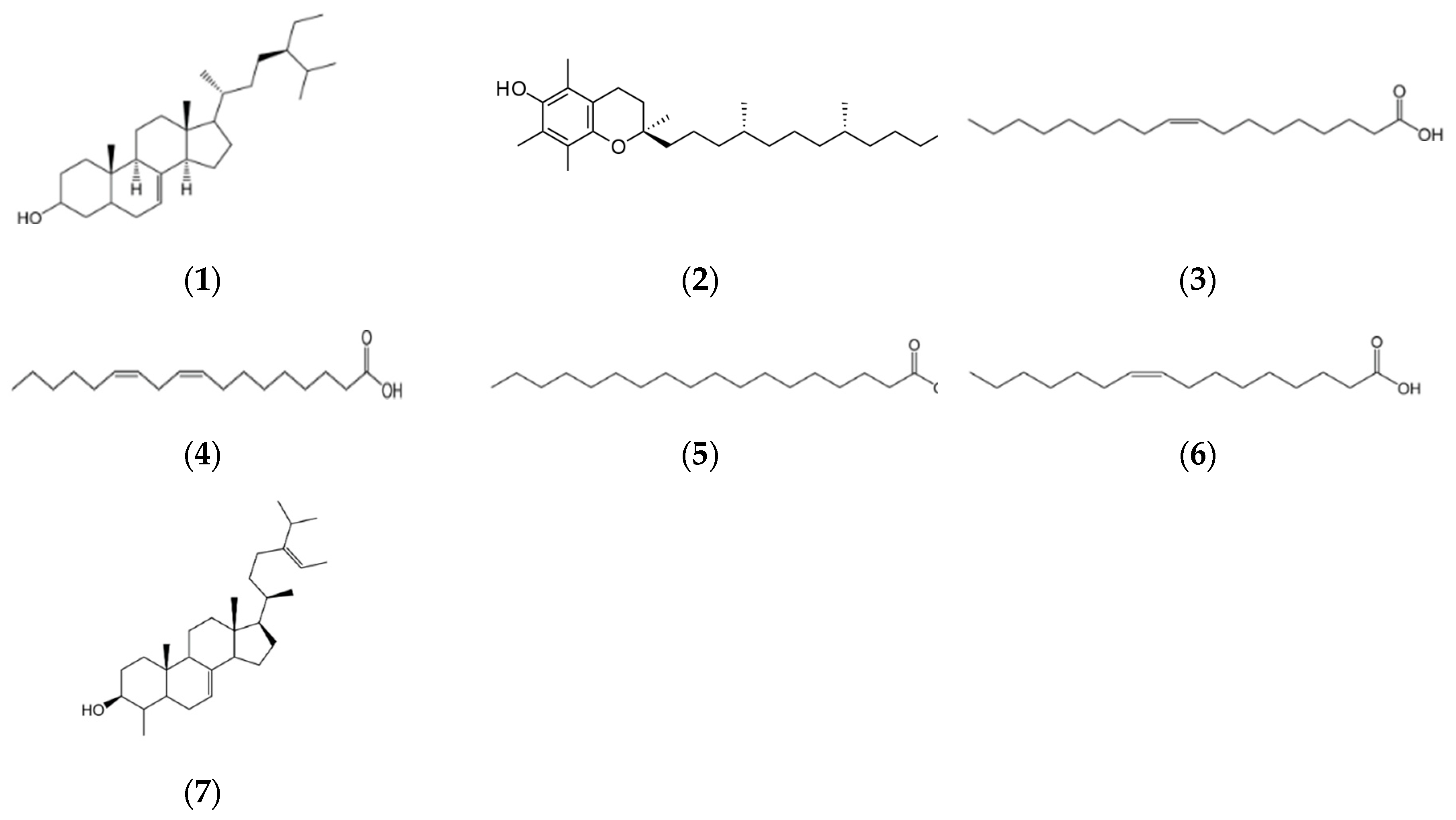 Nutrients 16 03573 g001
