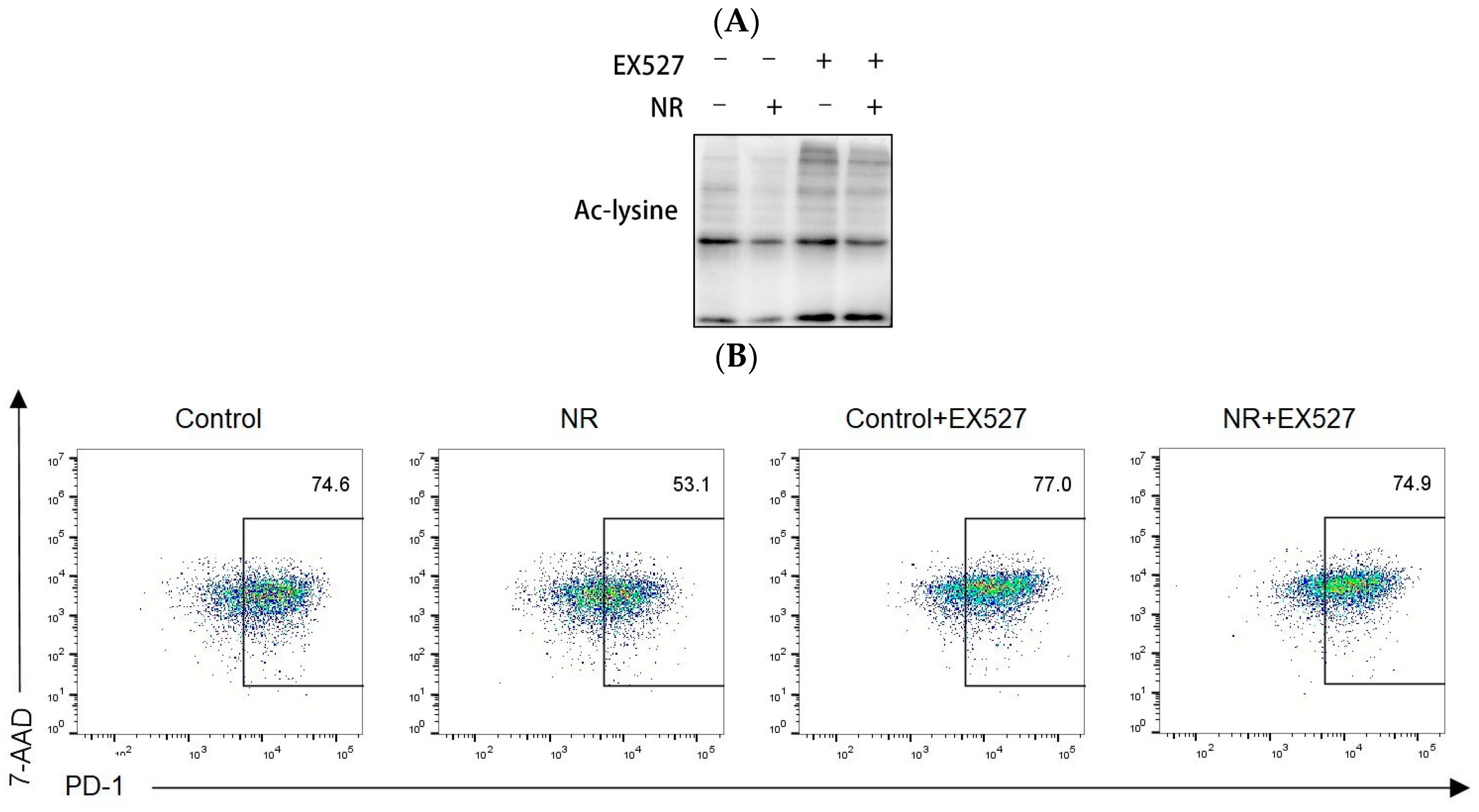 Nutrients 16 03577 g006a