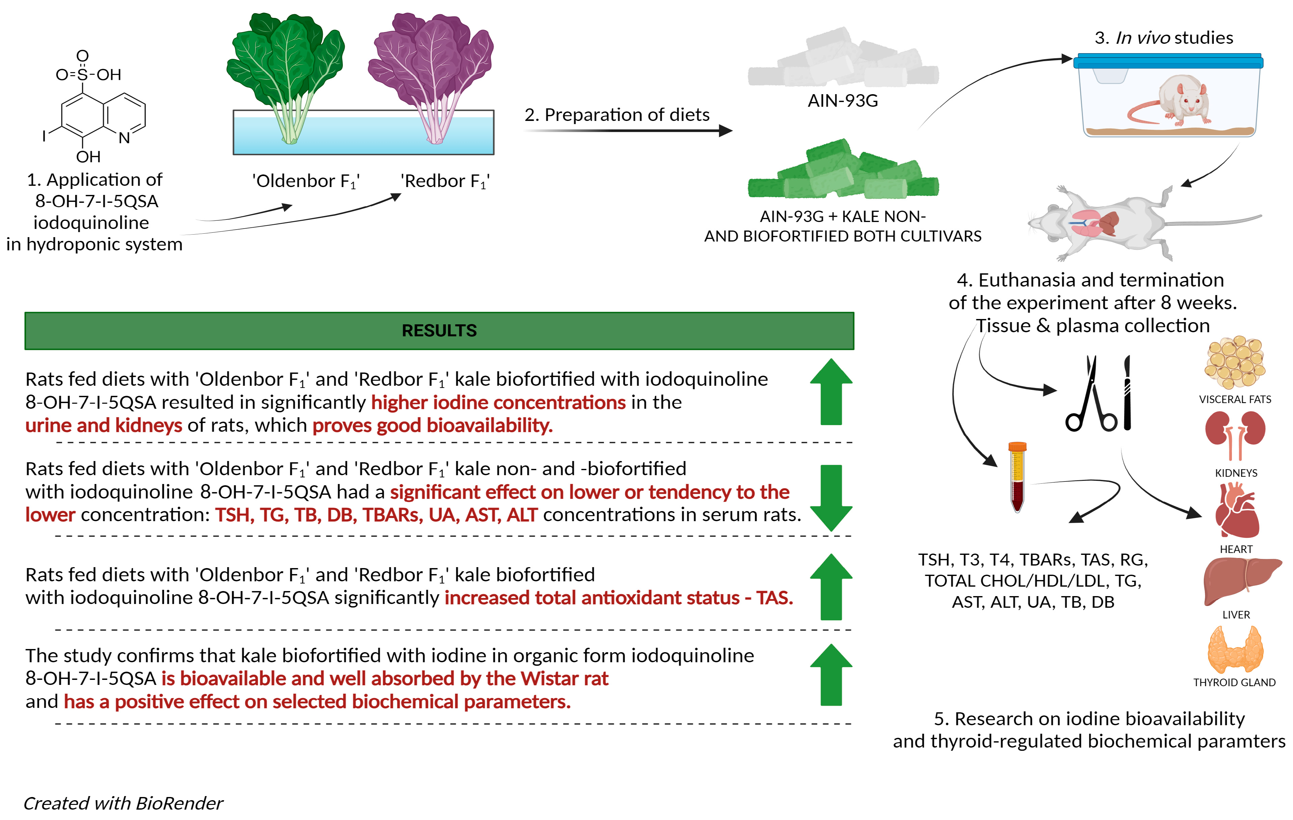 Nutrients 16 03578 g003
