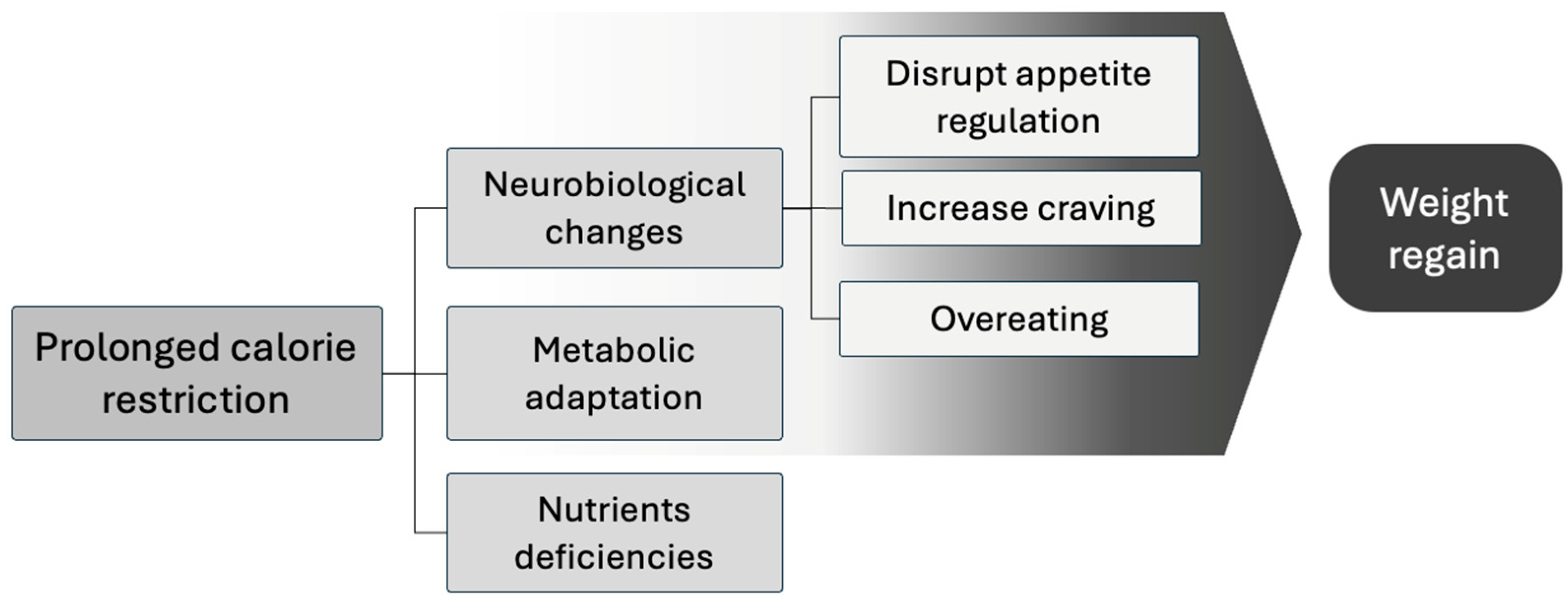 Nutrients 16 03585 g001