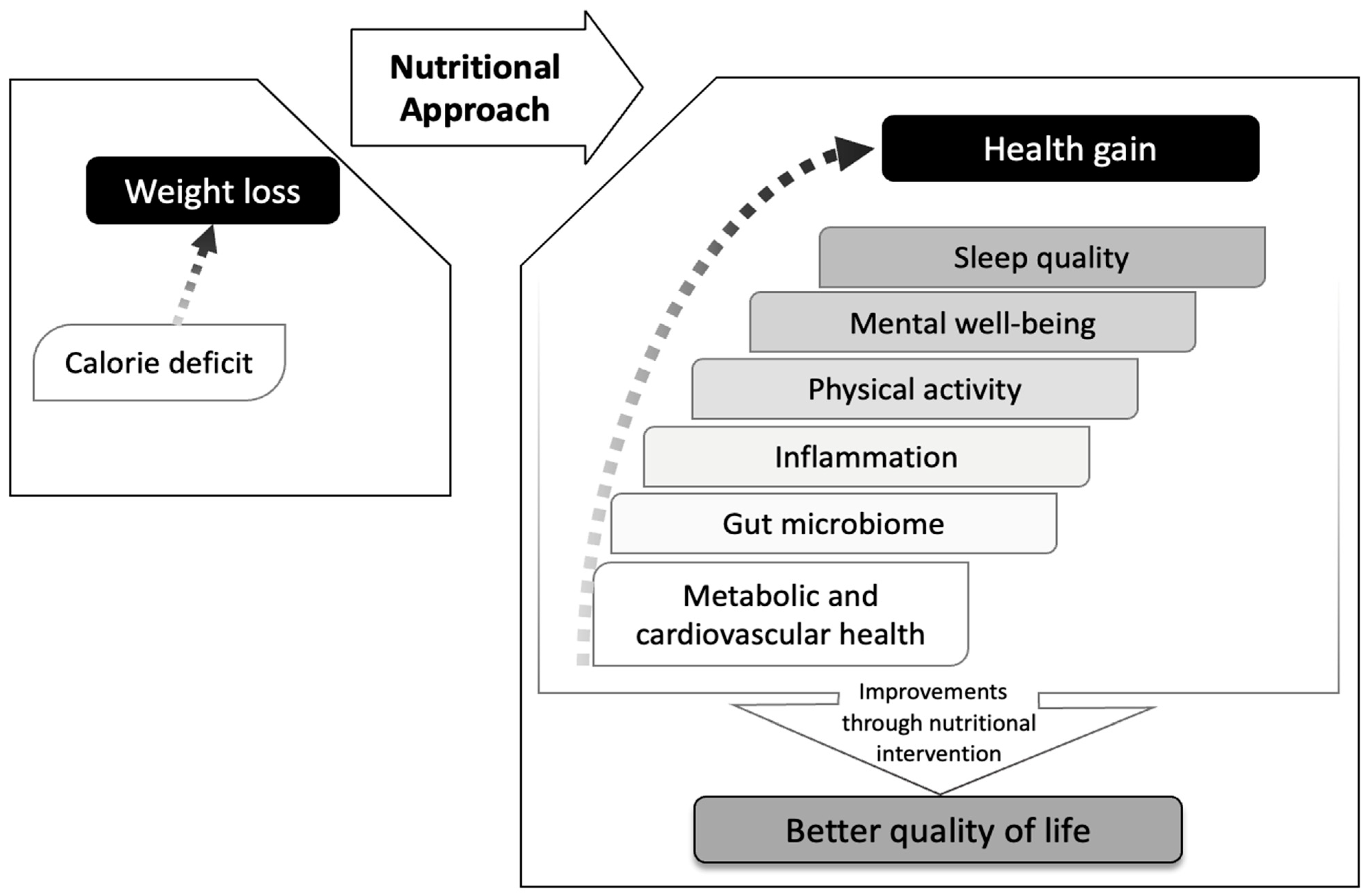 Nutrients 16 03585 g003