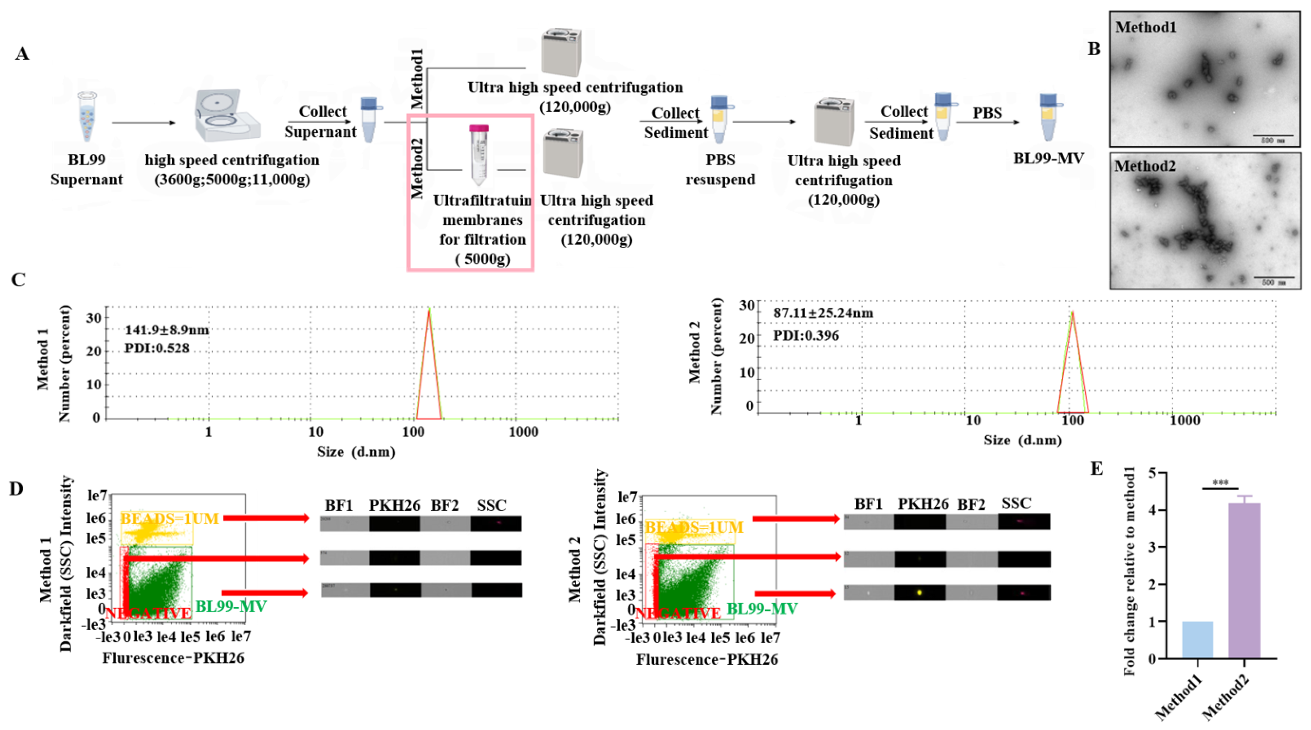 Nutrients 16 03586 g001