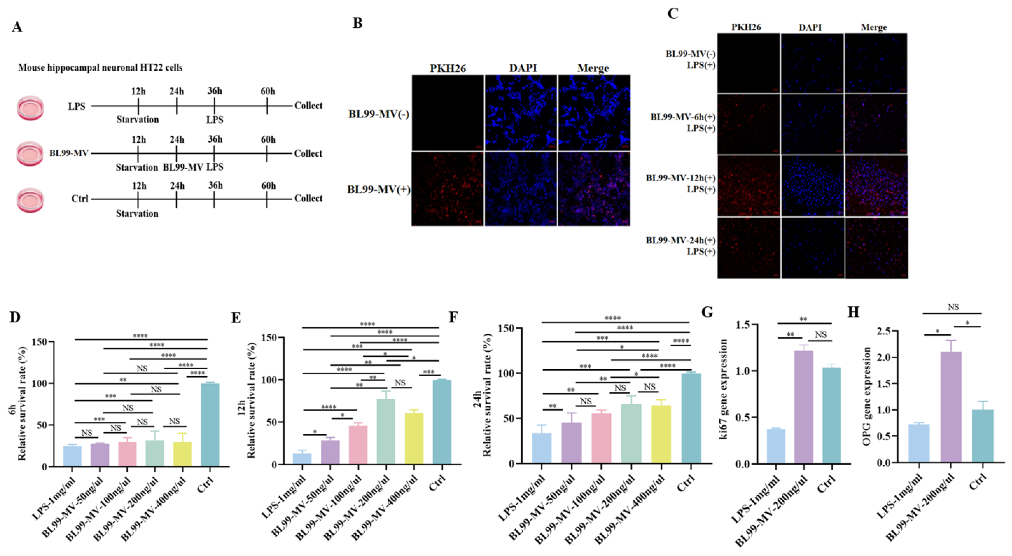 Nutrients 16 03586 g003