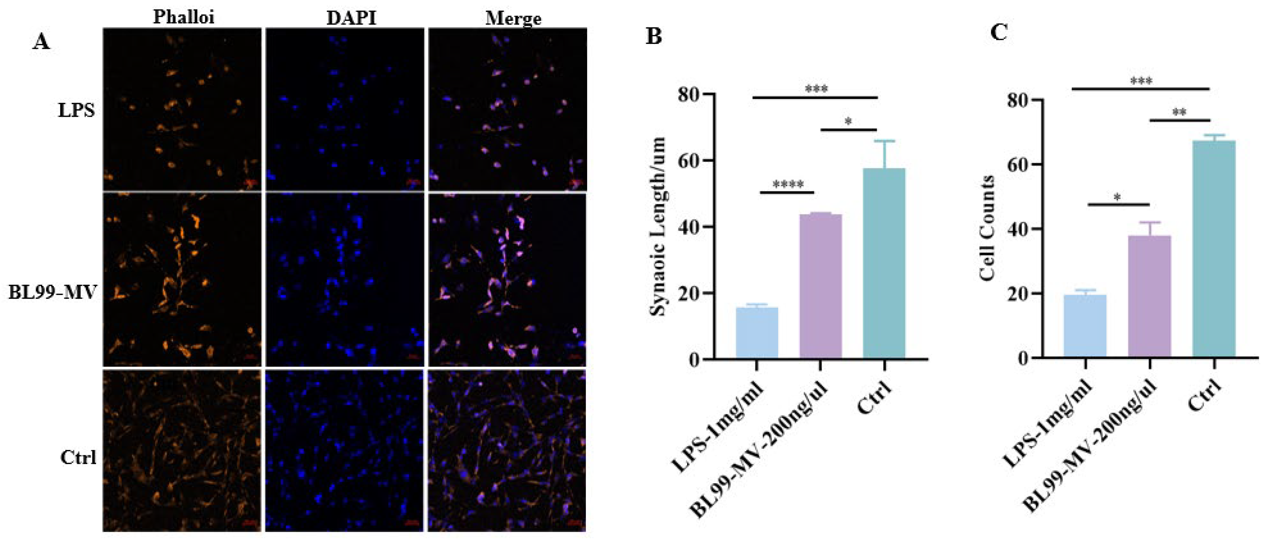 Nutrients 16 03586 g004