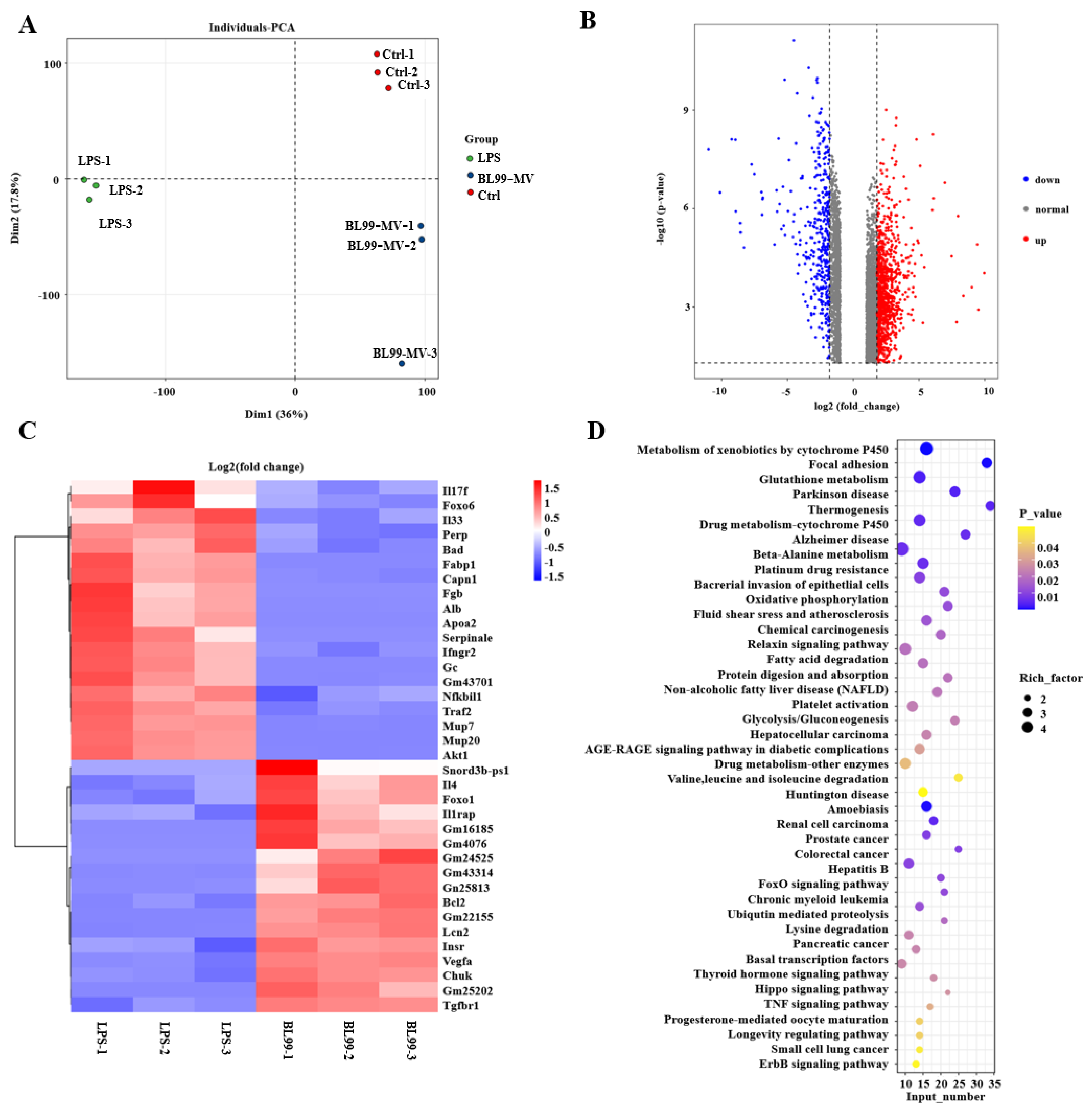 Nutrients 16 03586 g006