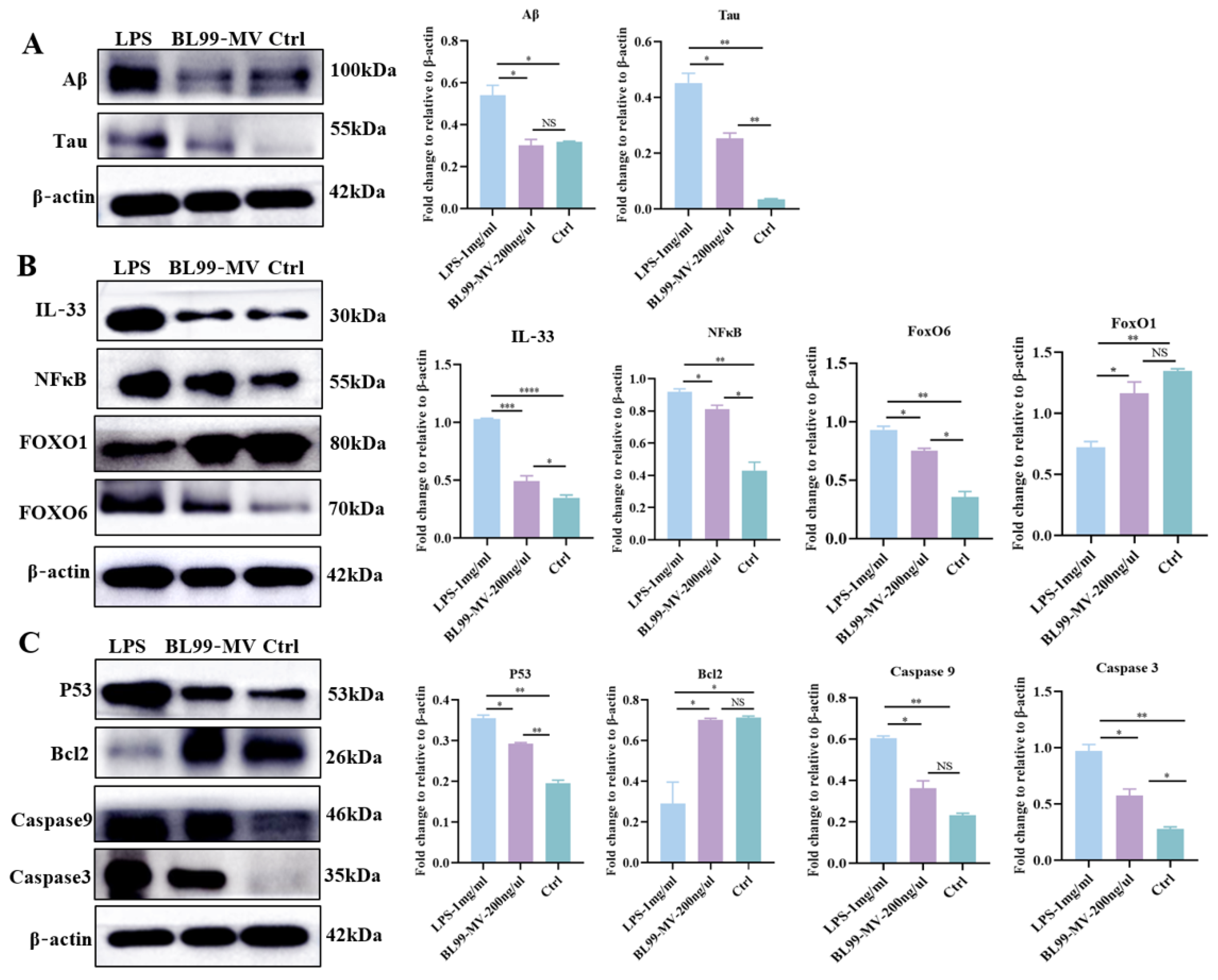 Nutrients 16 03586 g008