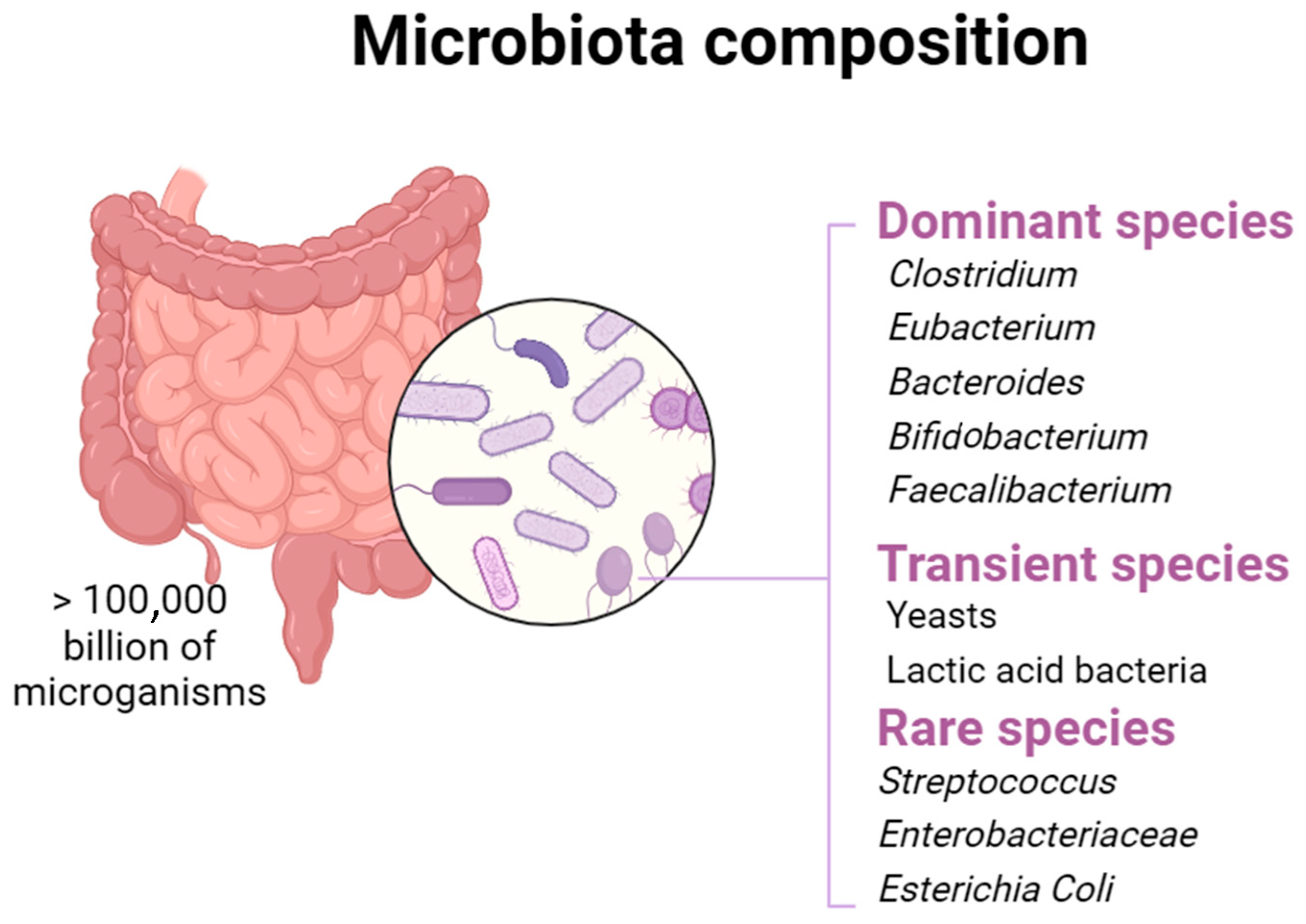 Nutrients 16 03591 g001