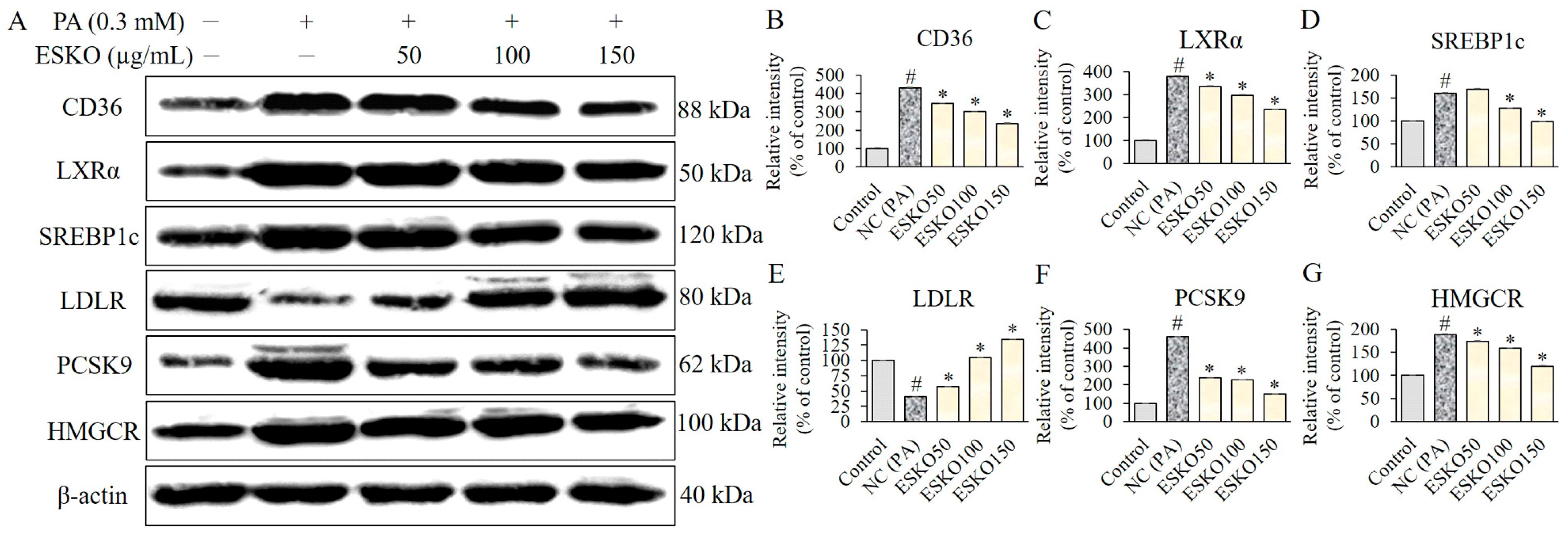 Nutrients 16 03614 g002