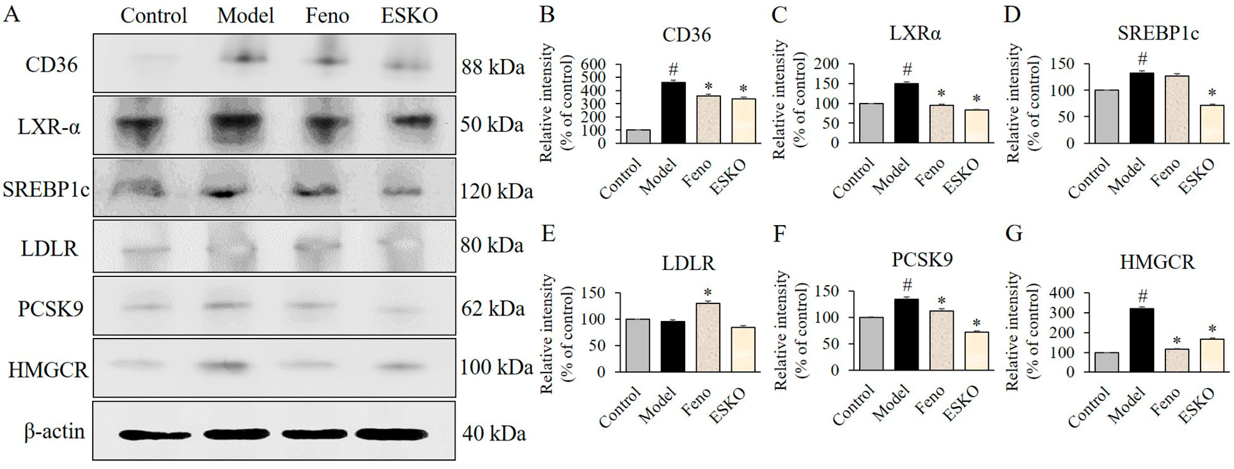 Nutrients 16 03614 g005
