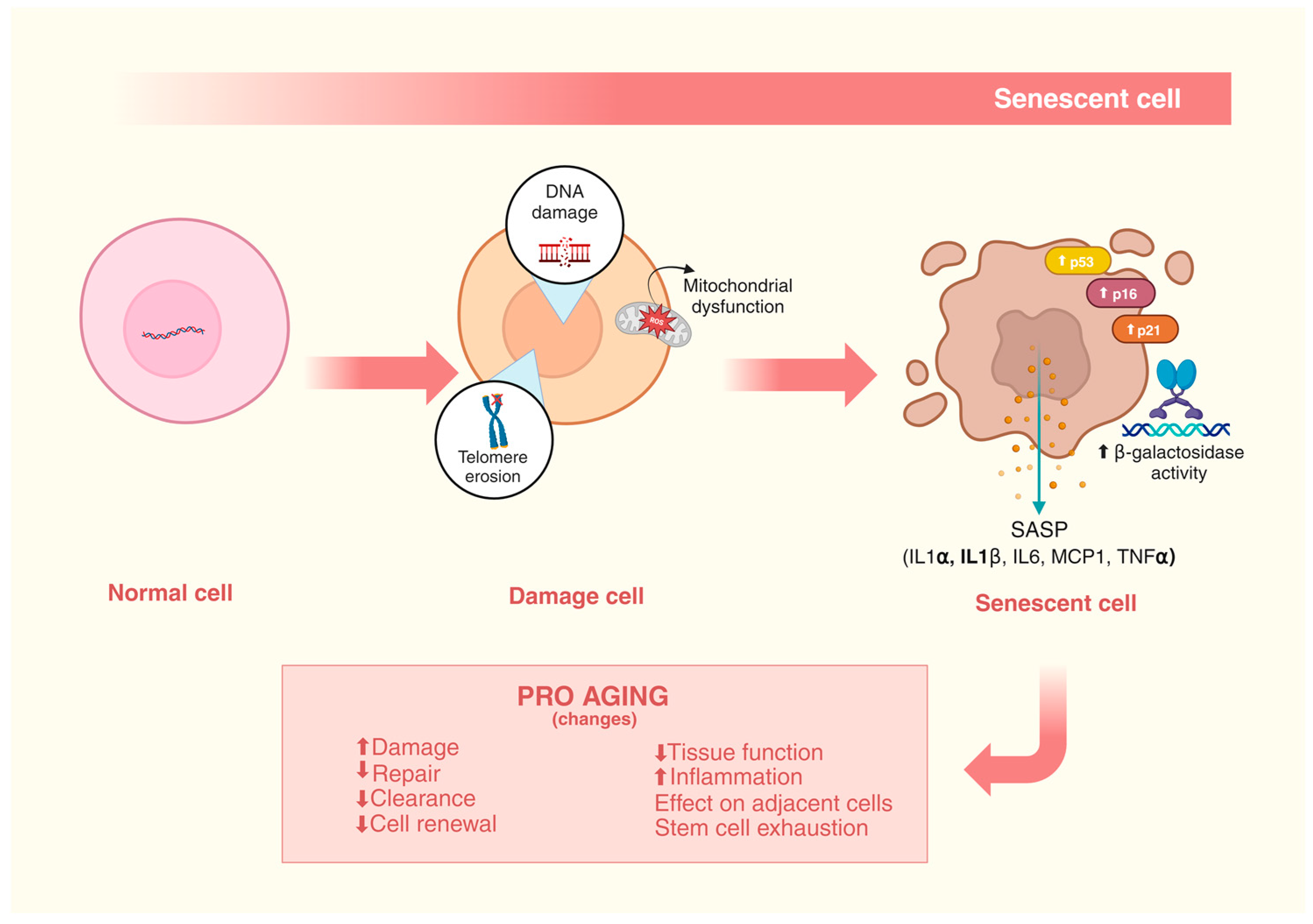 Nutrients 16 03621 g001
