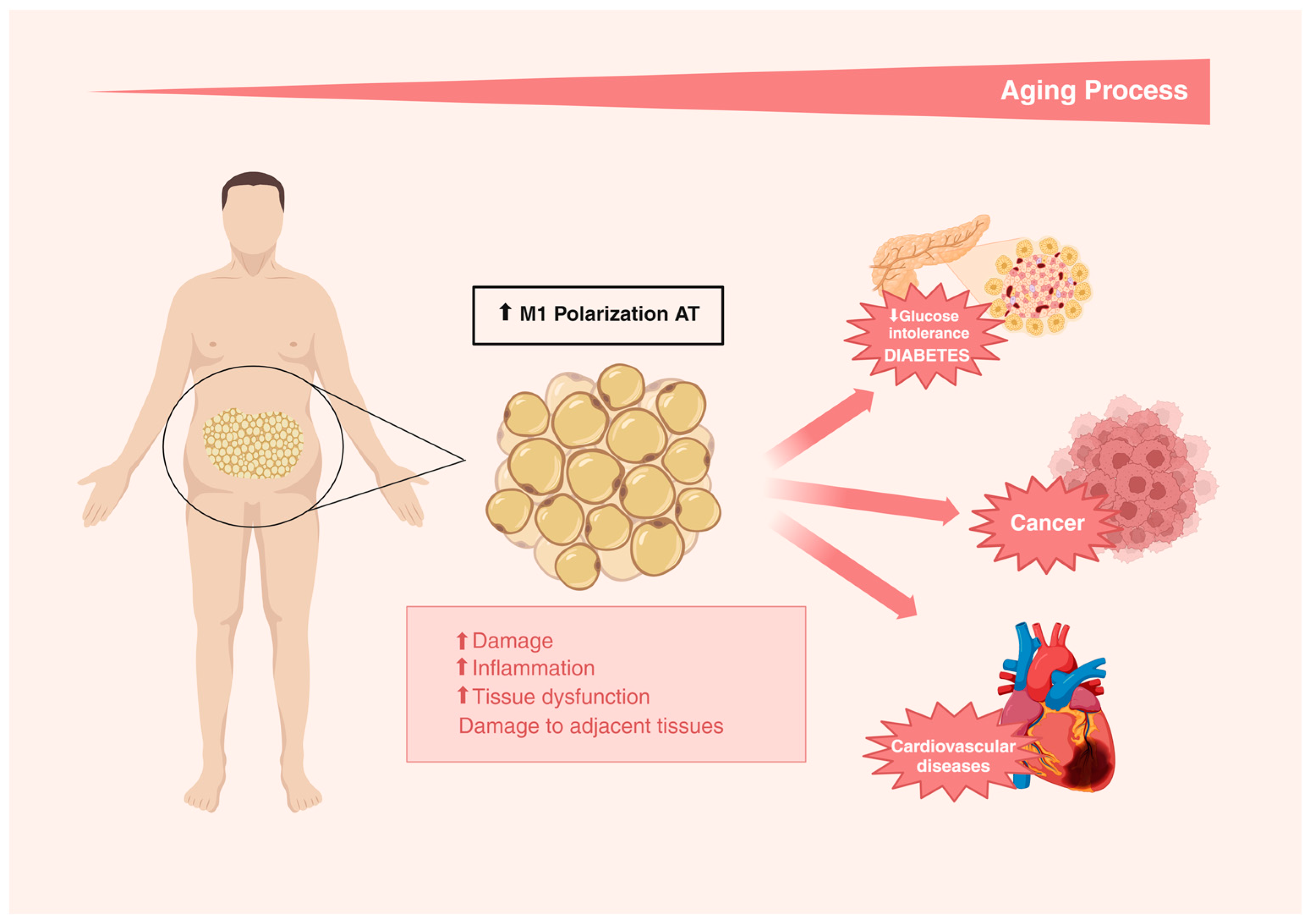 Nutrients 16 03621 g002