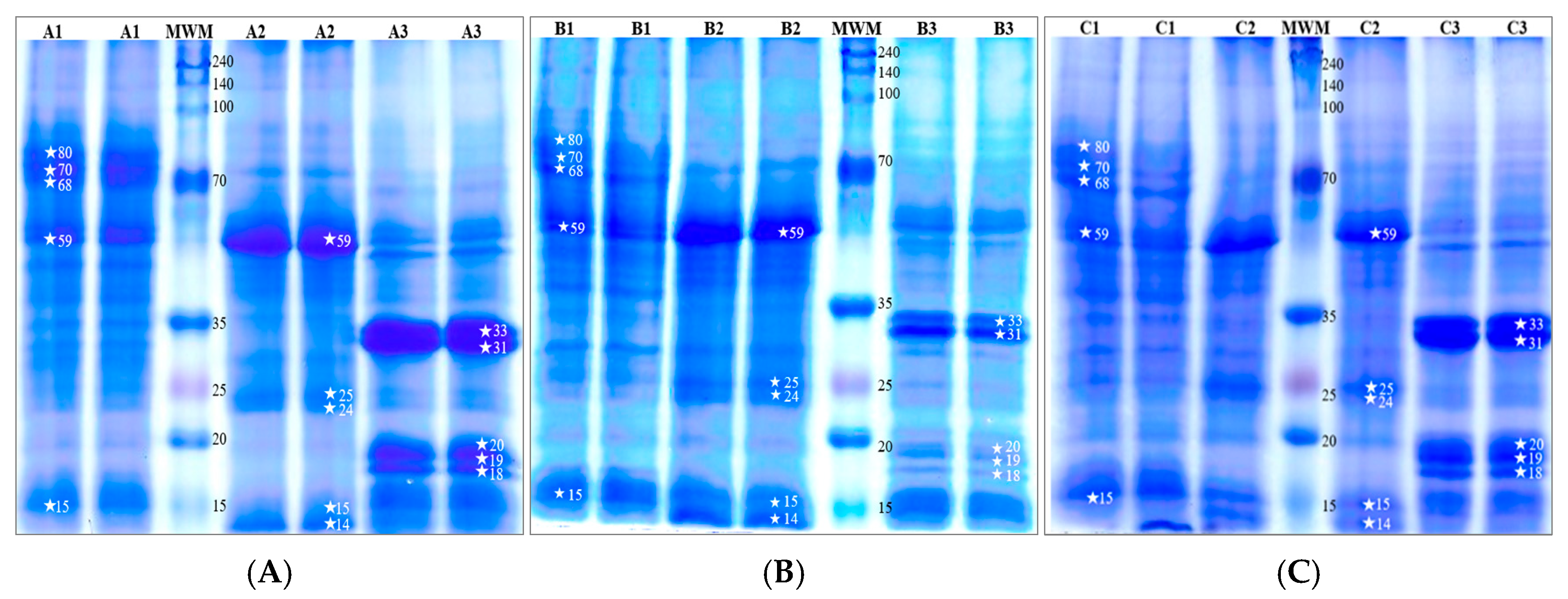 Nutrients 16 03626 g001