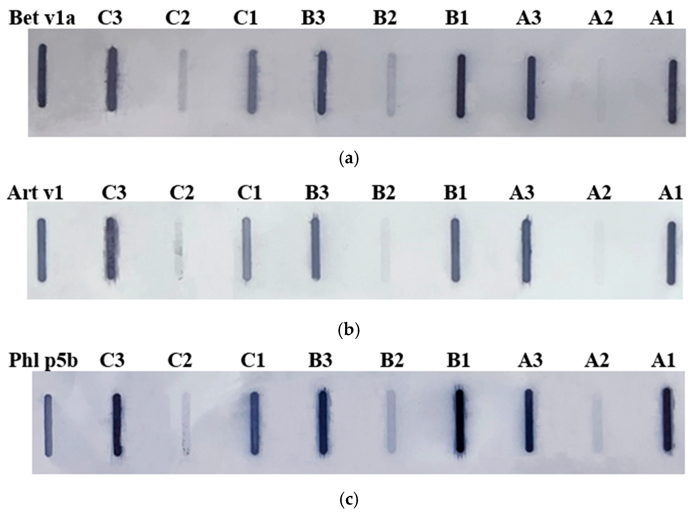 Nutrients 16 03626 g002