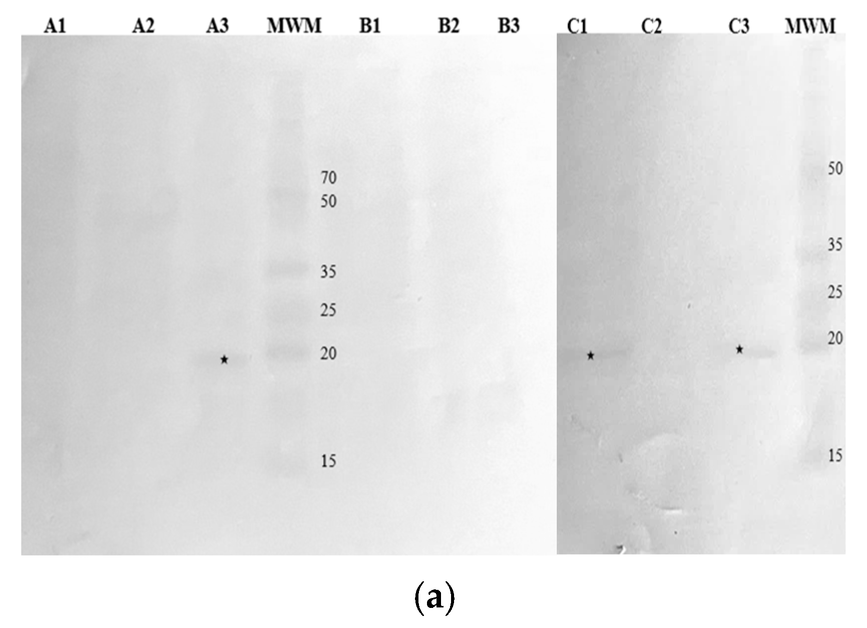 Nutrients 16 03626 g004a