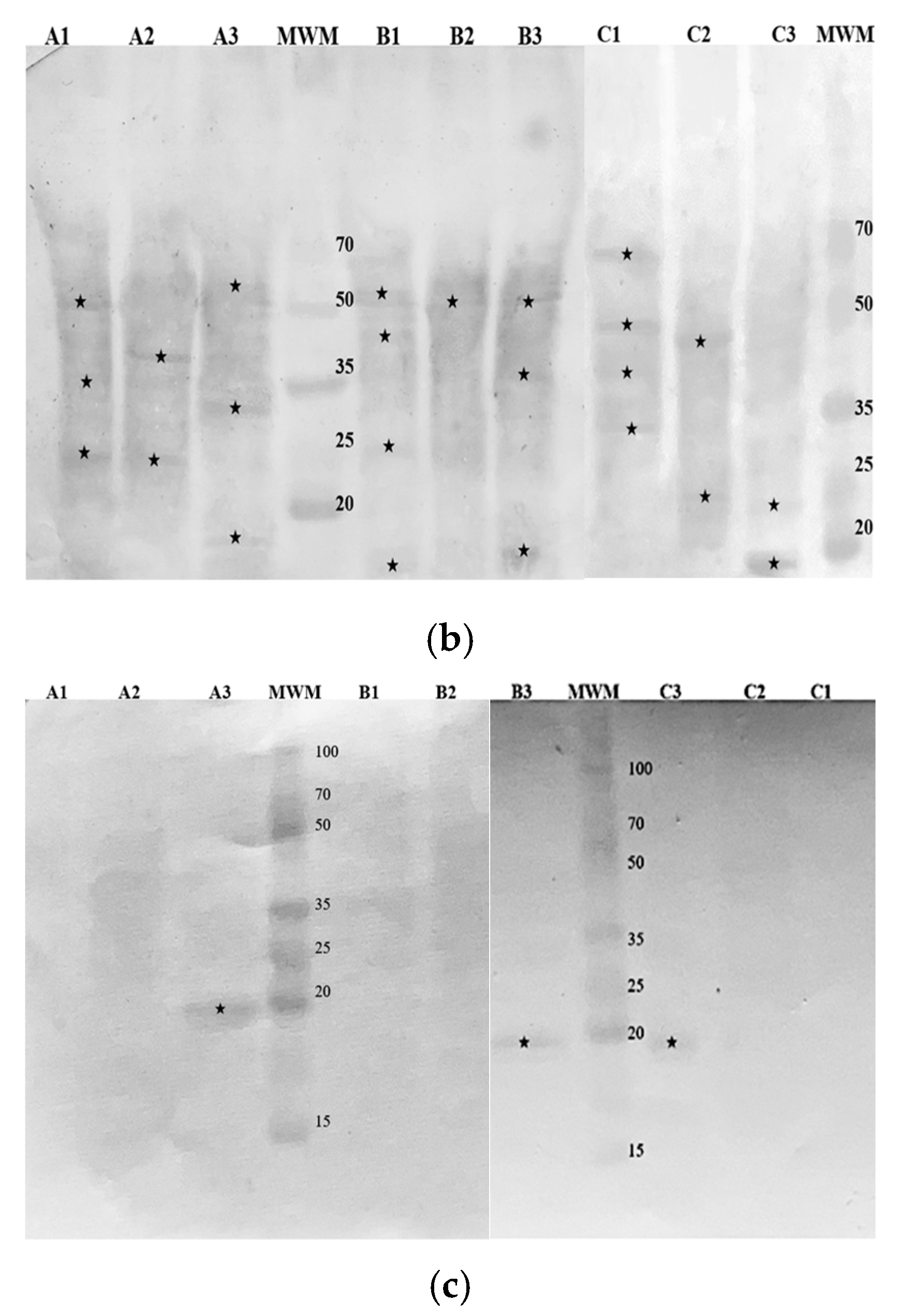 Nutrients 16 03626 g004b