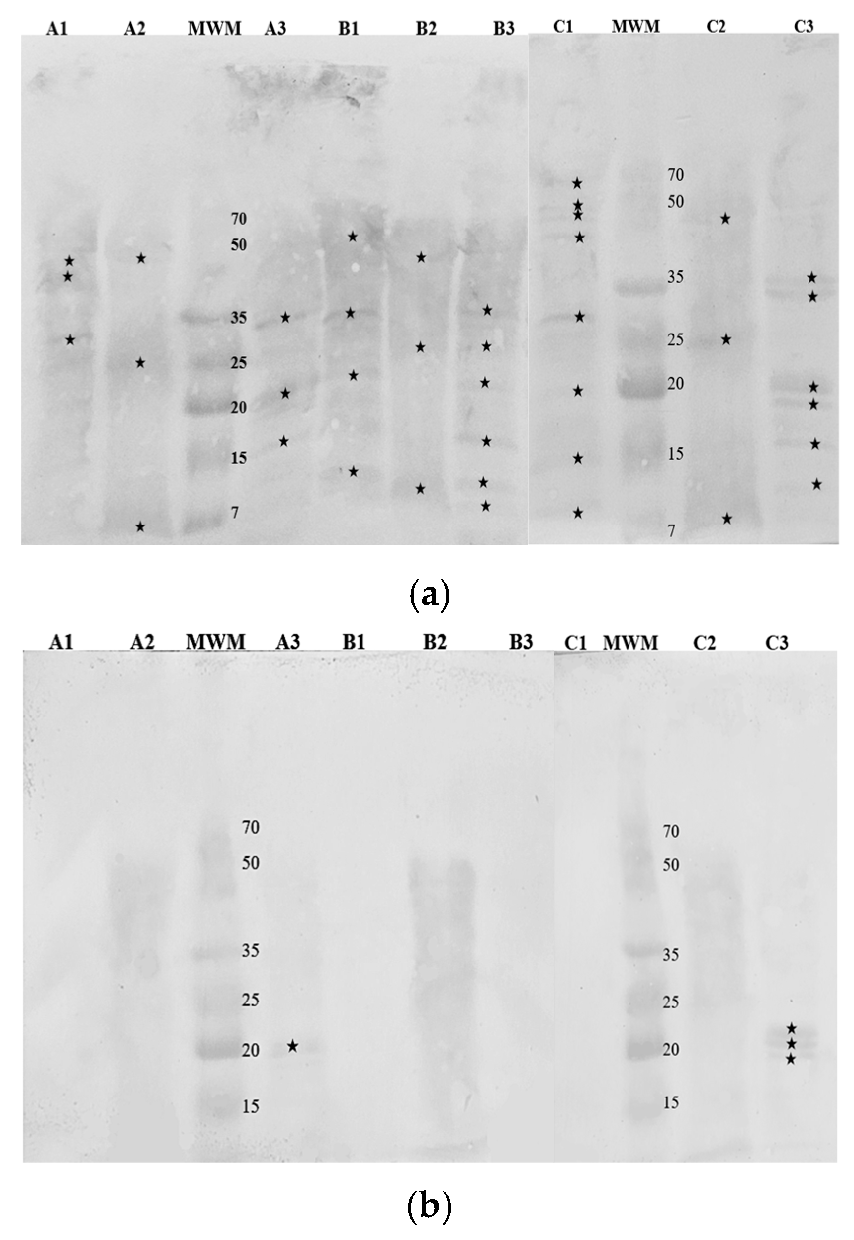 Nutrients 16 03626 g005a