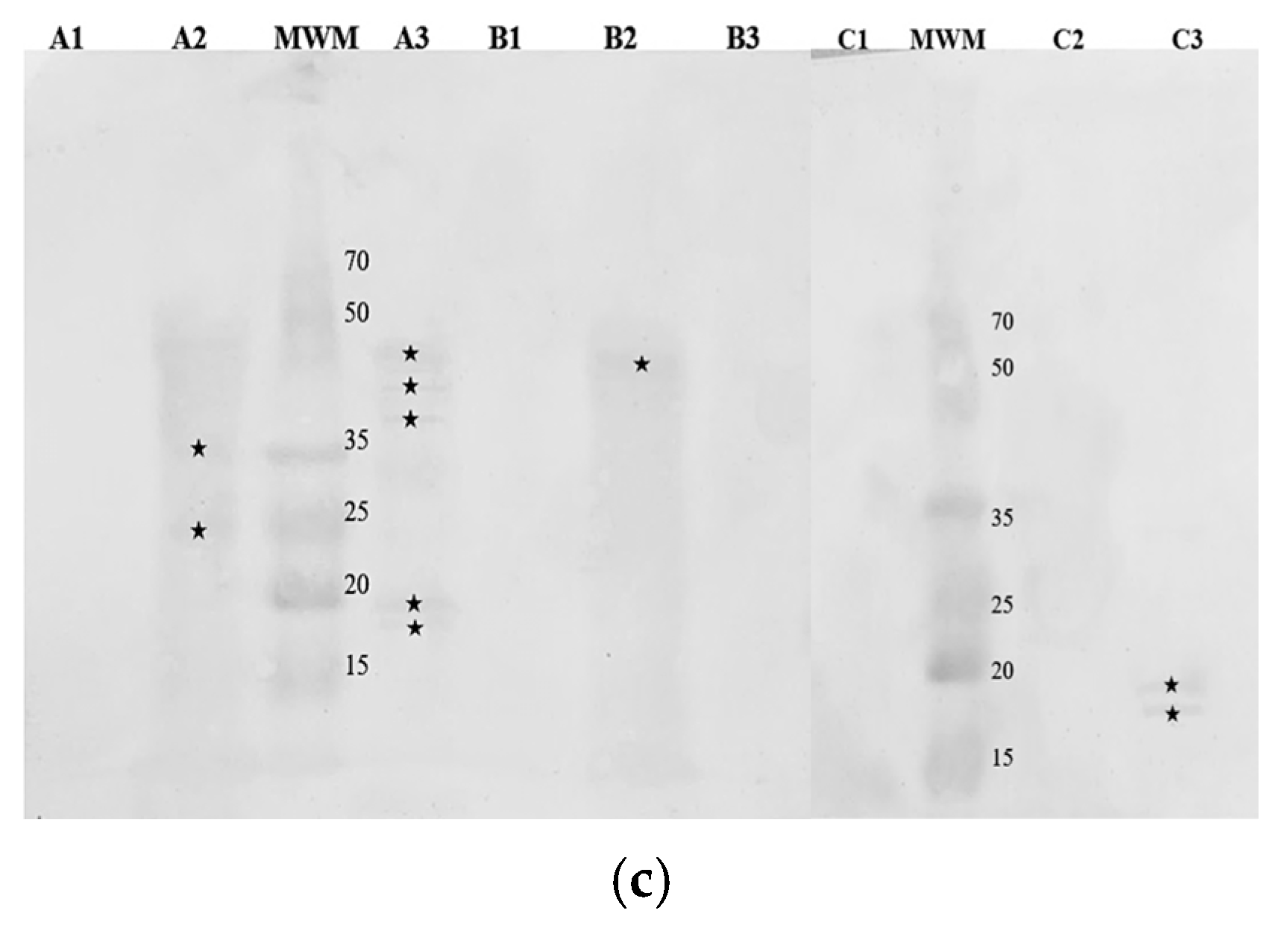 Nutrients 16 03626 g005b