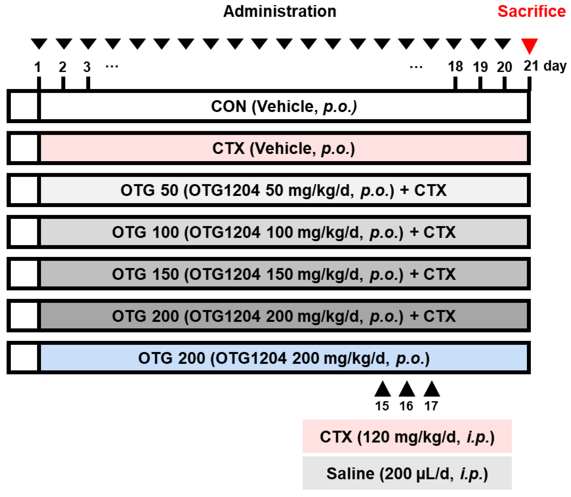 Nutrients 16 03629 g001