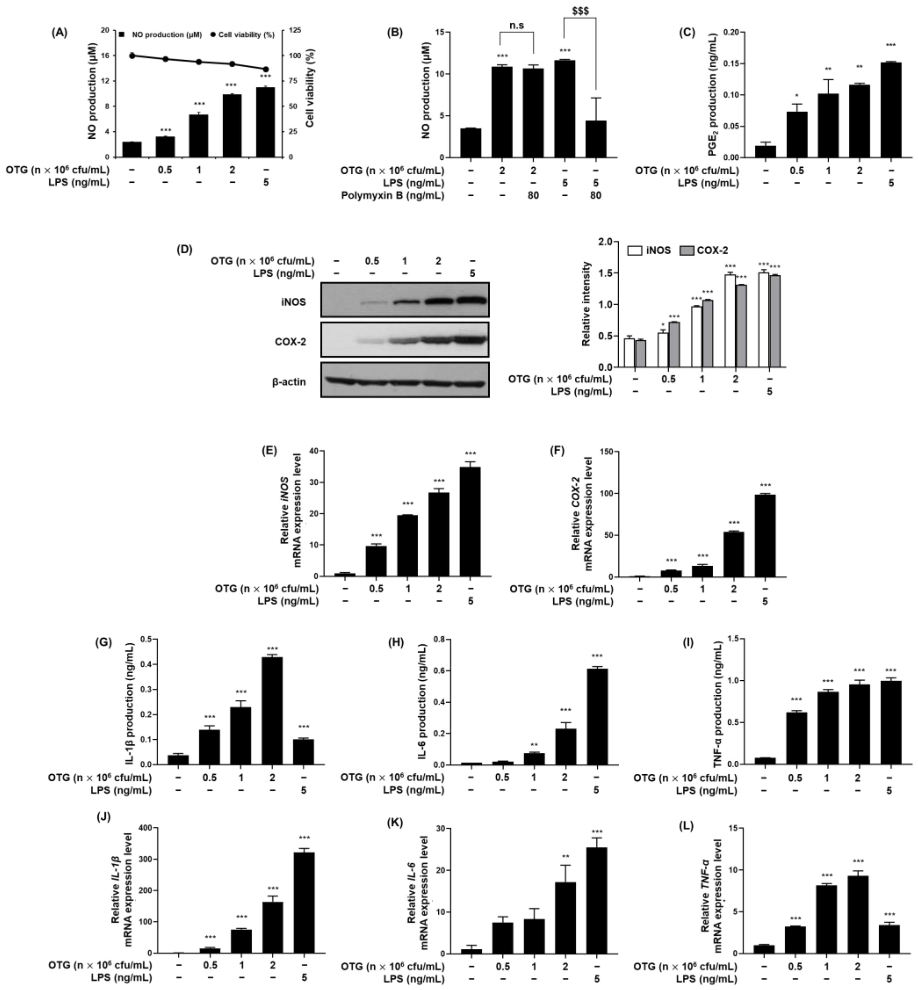 Nutrients 16 03629 g002