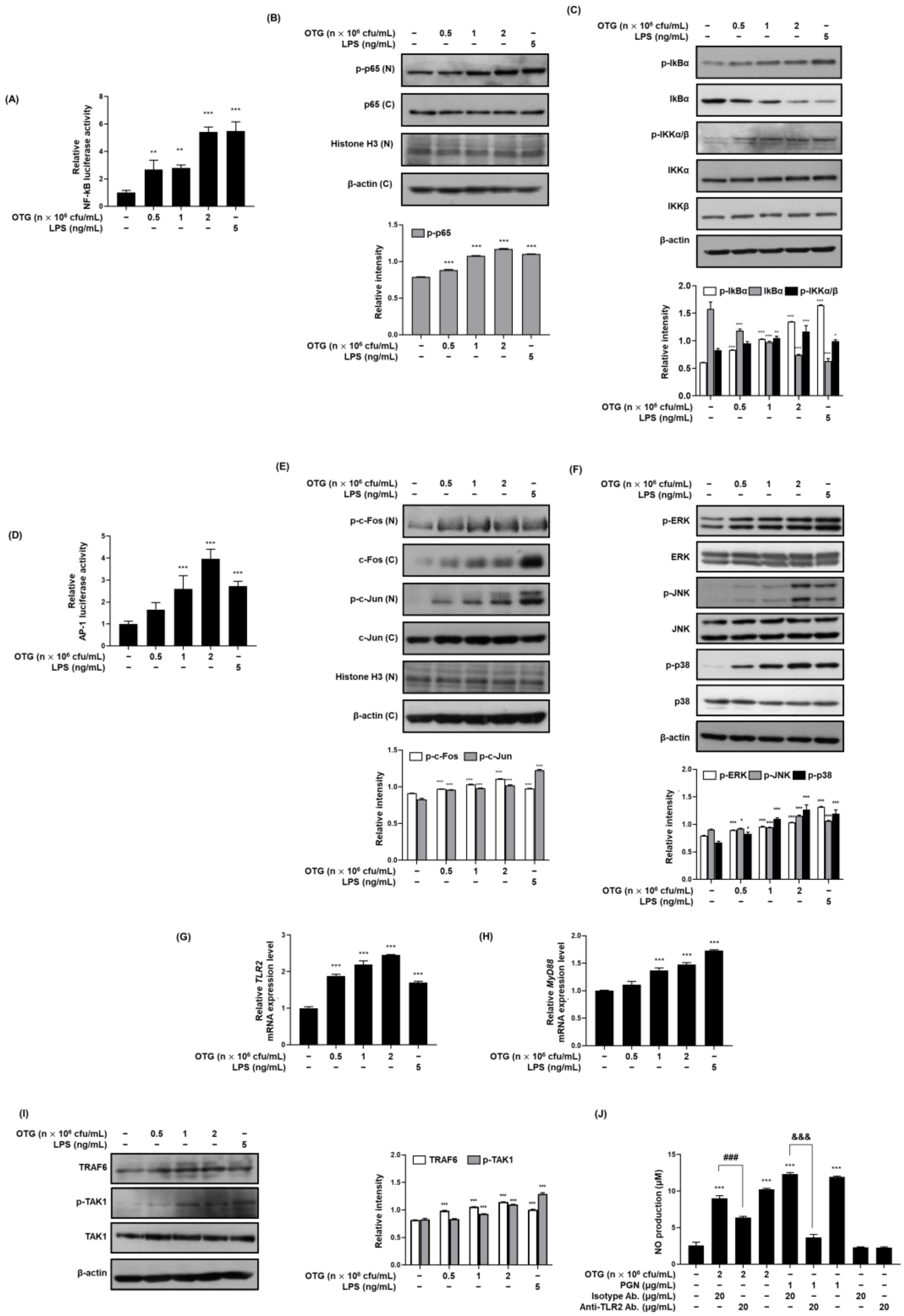 Nutrients 16 03629 g003