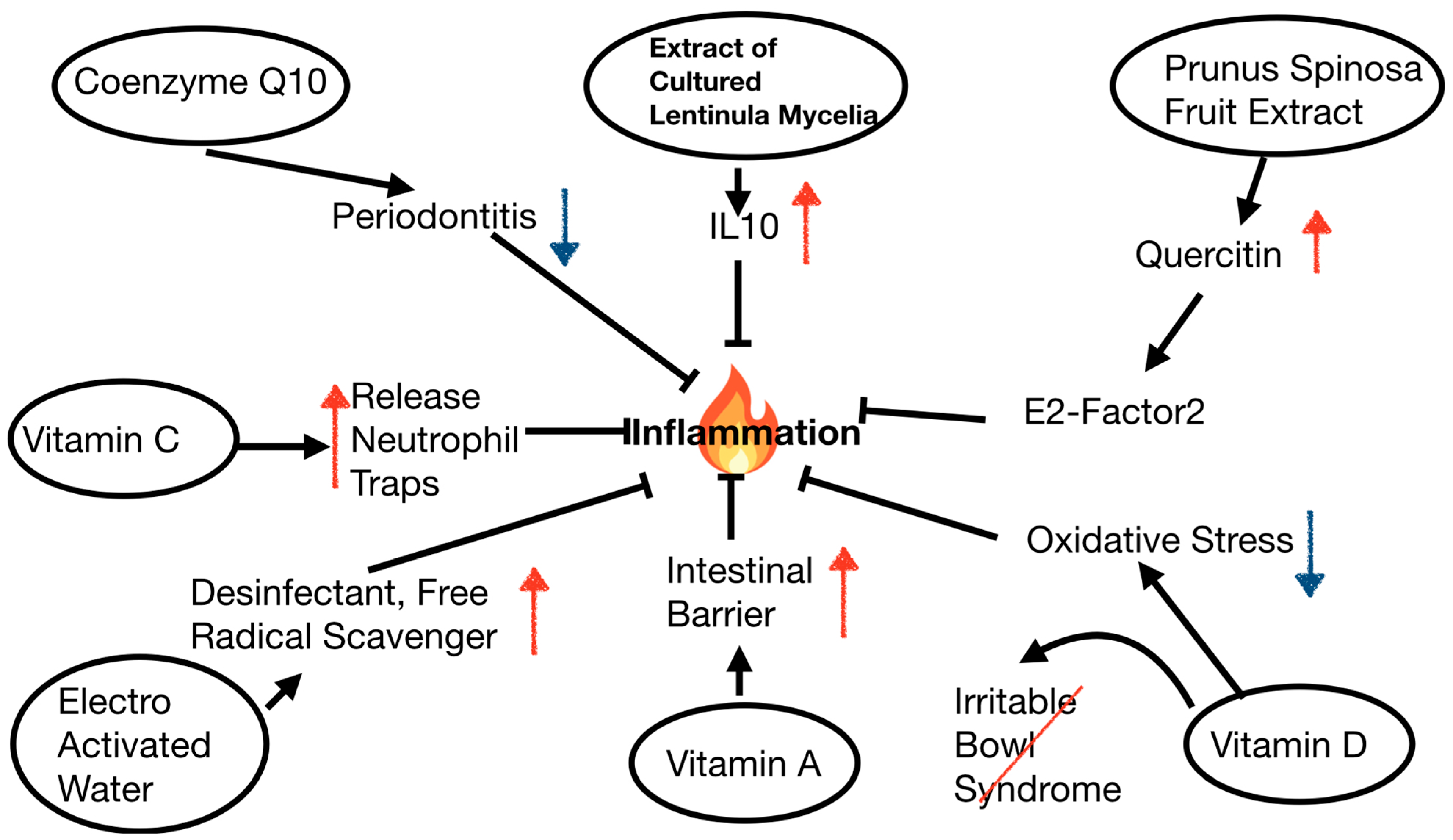 Nutrients 16 03630 g001
