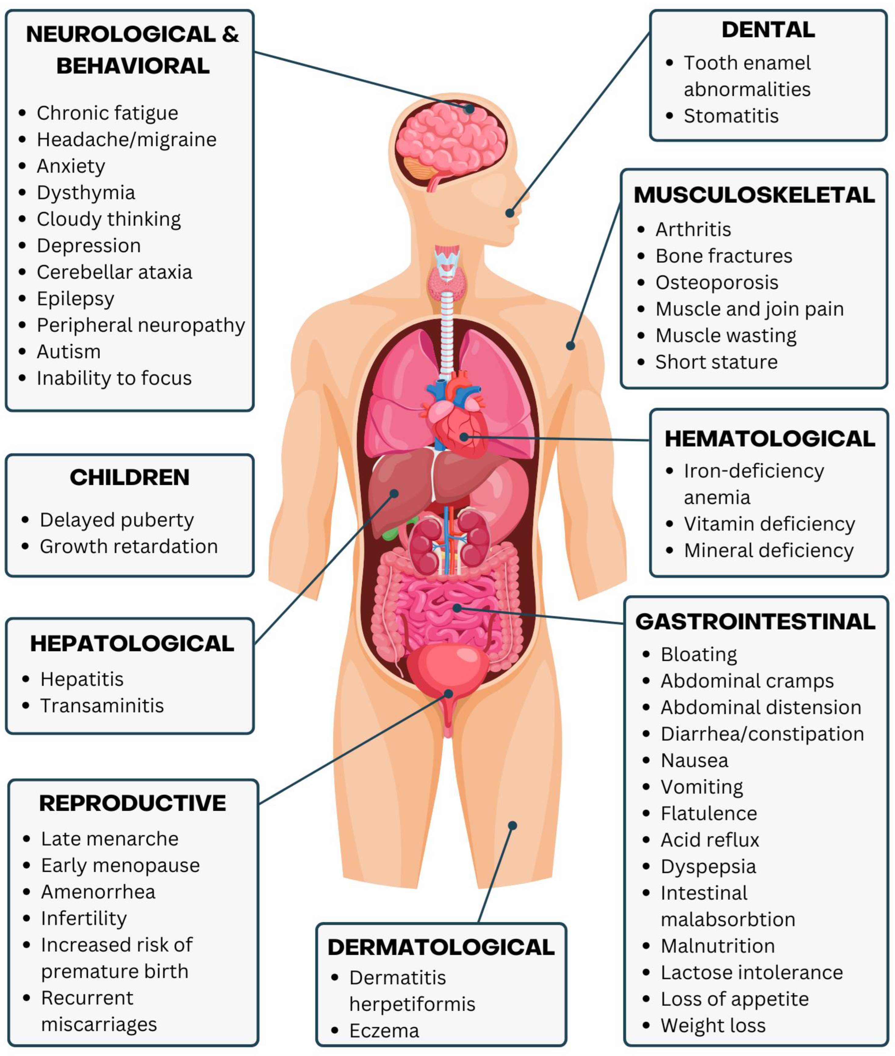 Nutrients 16 03636 g004