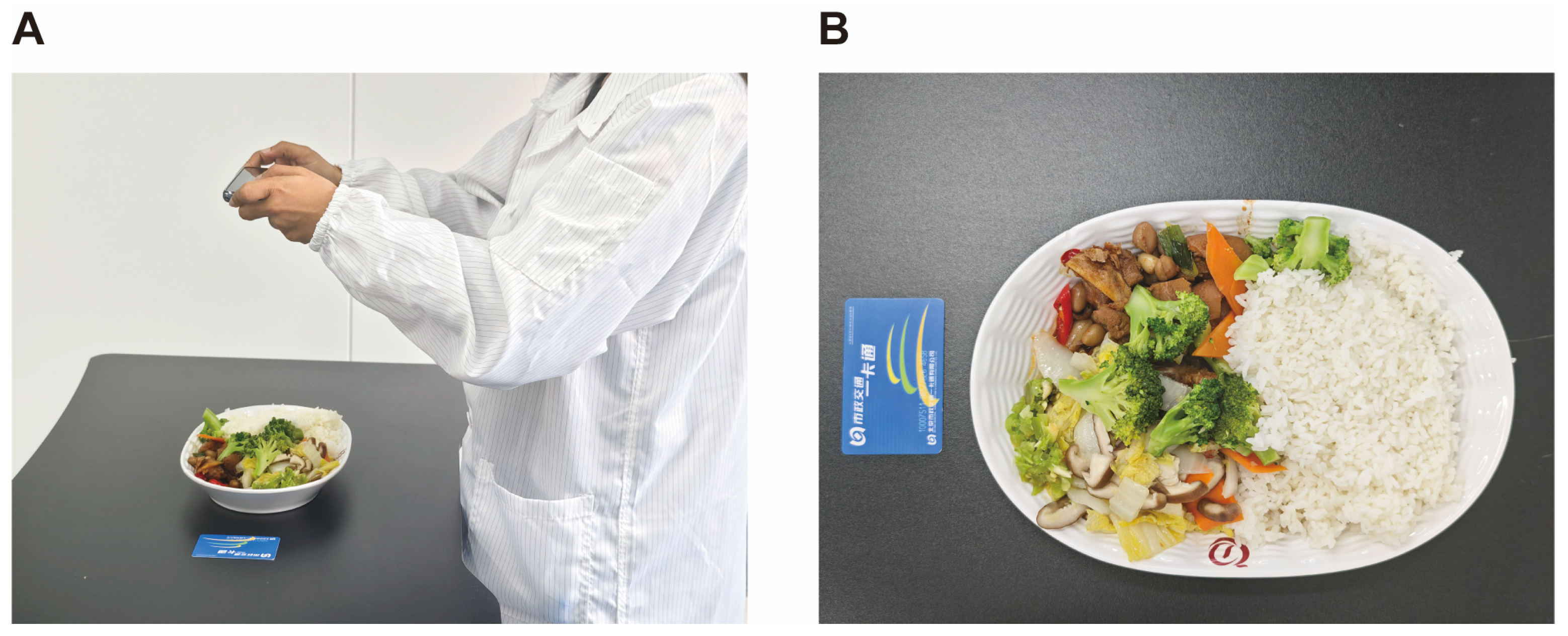 Nutrients 16 03637 g001