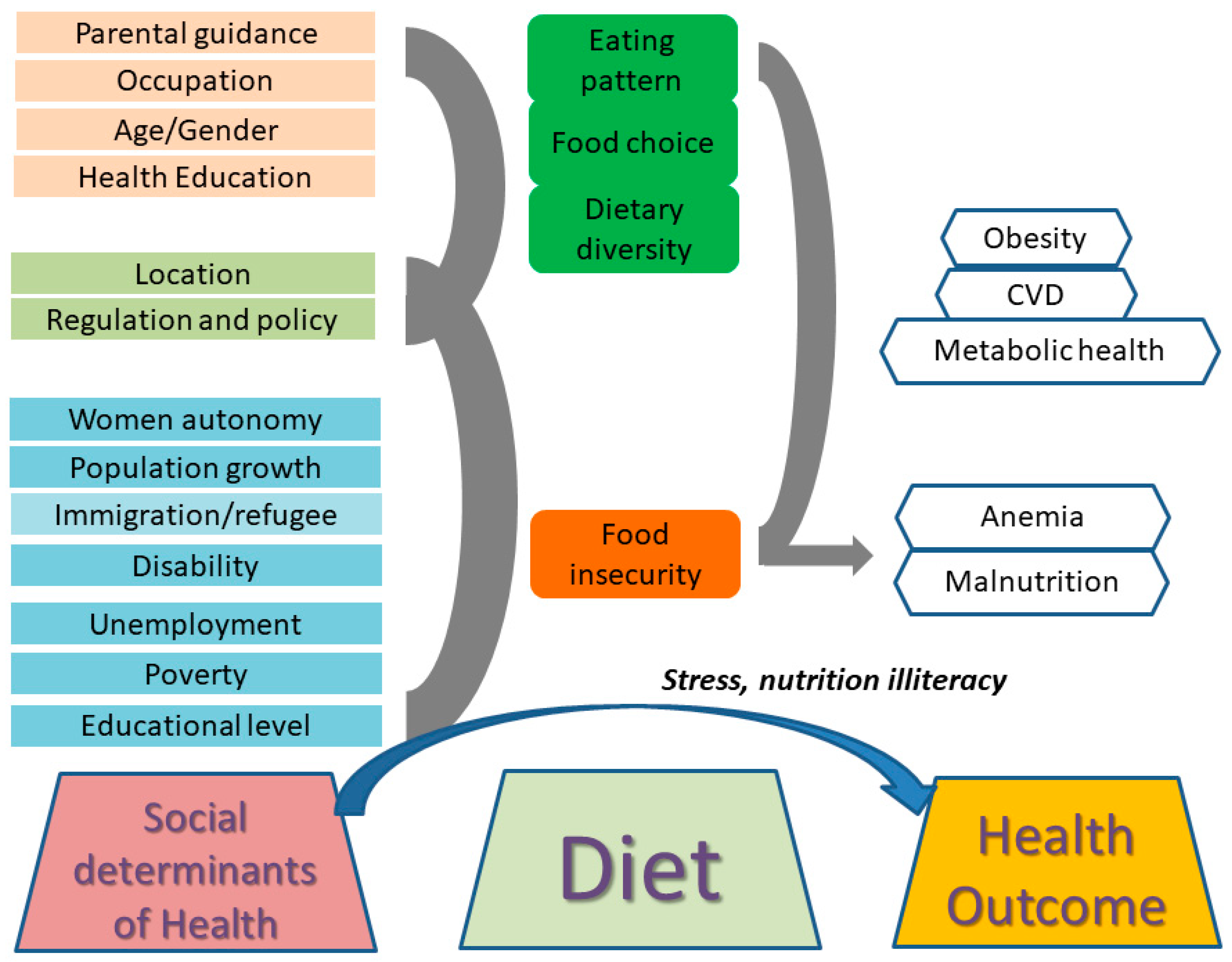 Nutrients 16 03642 g001