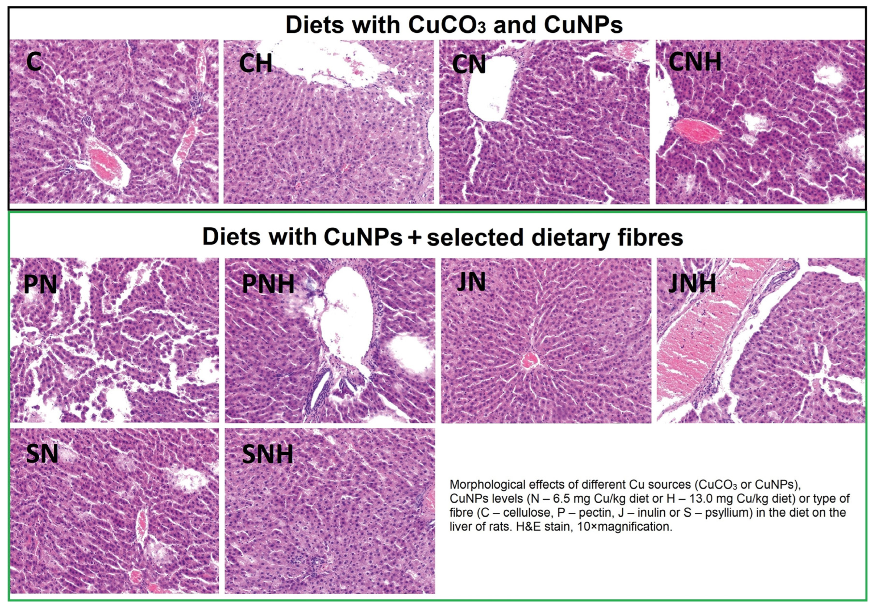 Nutrients 16 03645 g002