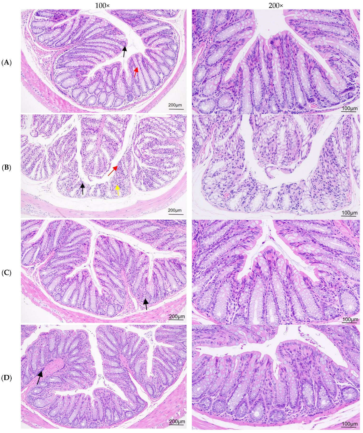 Nutrients 16 03650 g005a