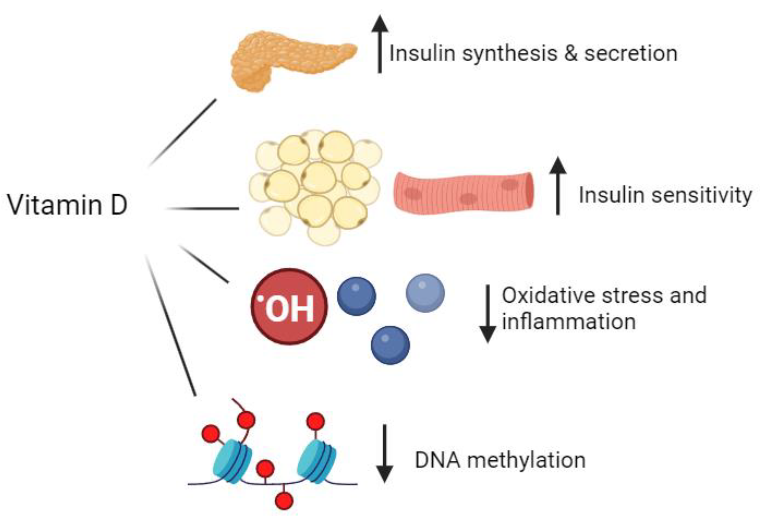 Nutrients 16 03651 g001