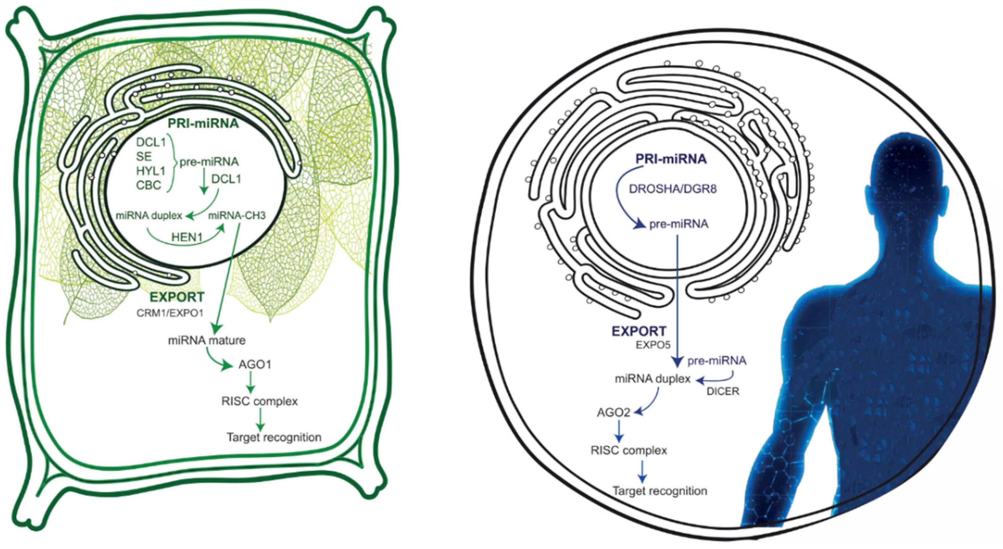 Nutrients 16 03658 g001