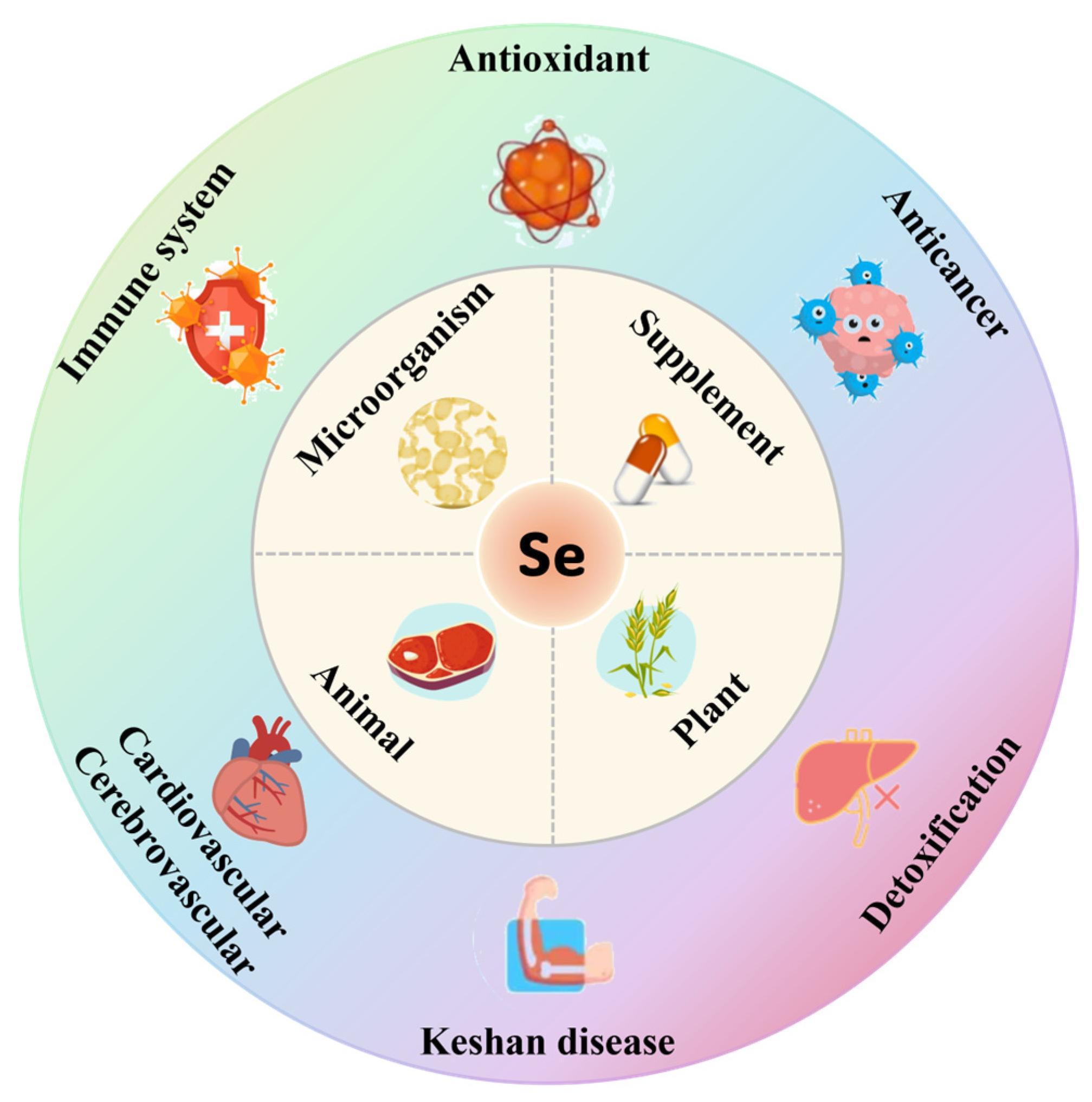 Nutrients 16 03659 g001