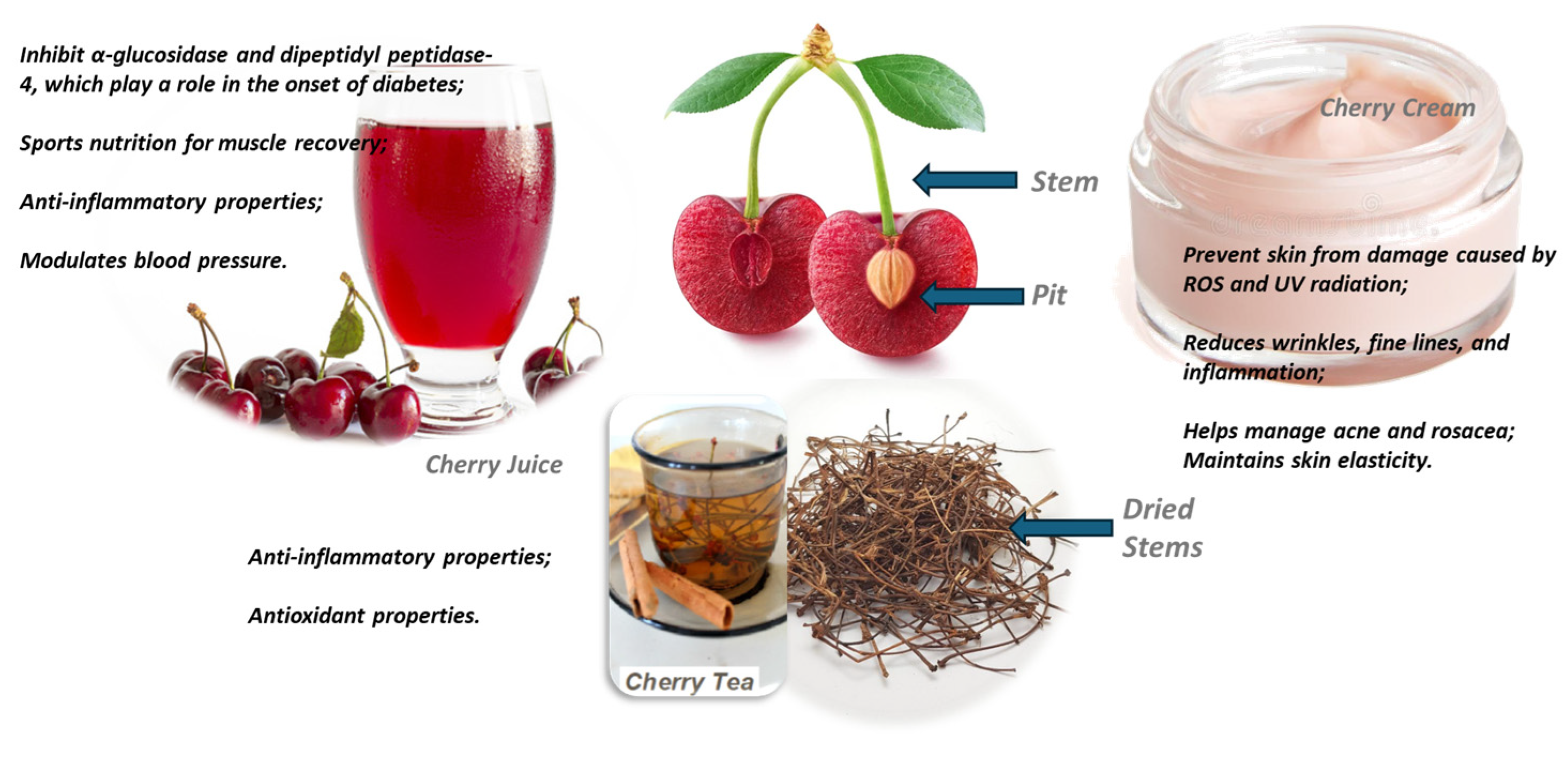 Nutrients 16 03660 g002