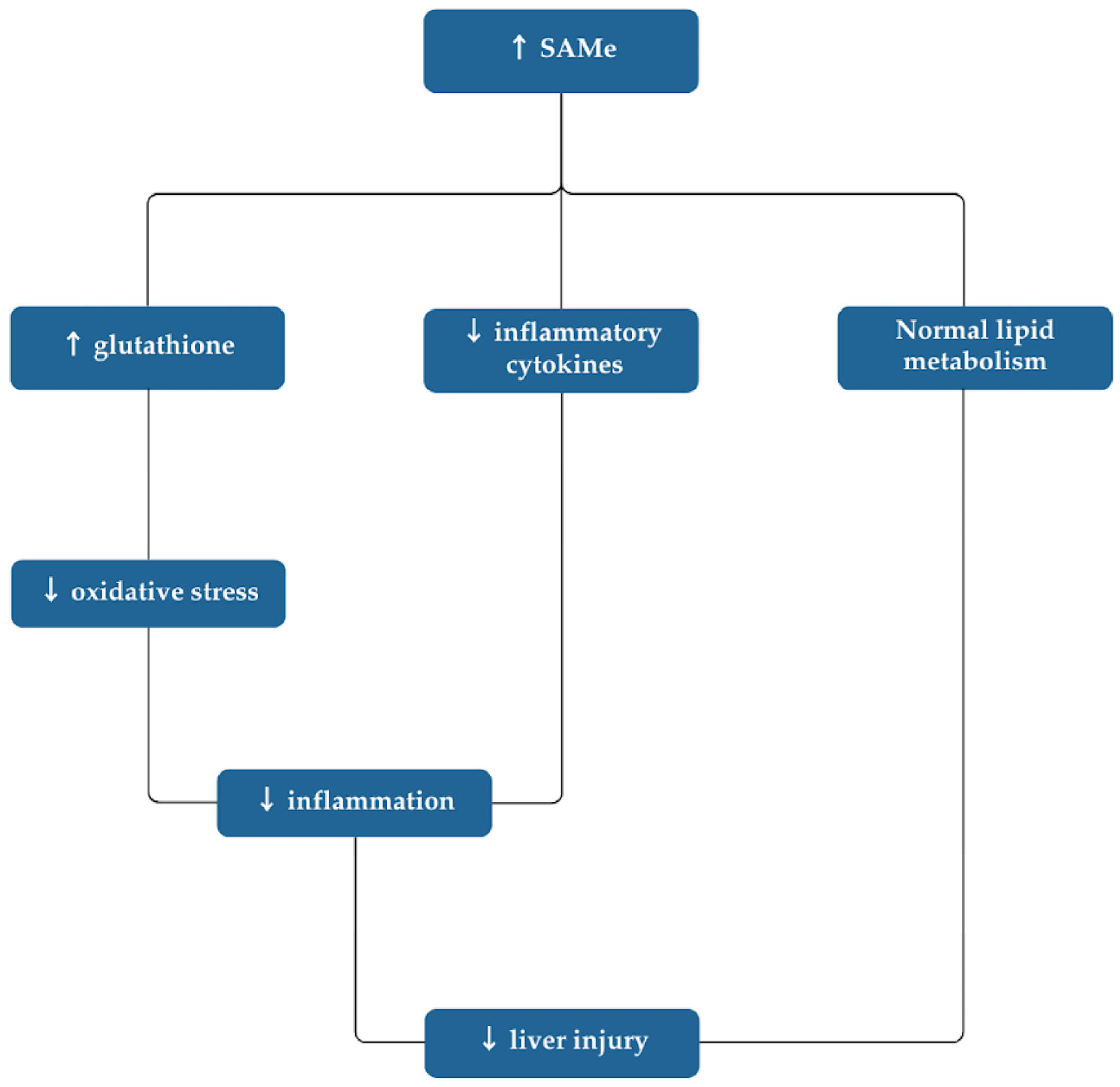 Nutrients 16 03668 g002