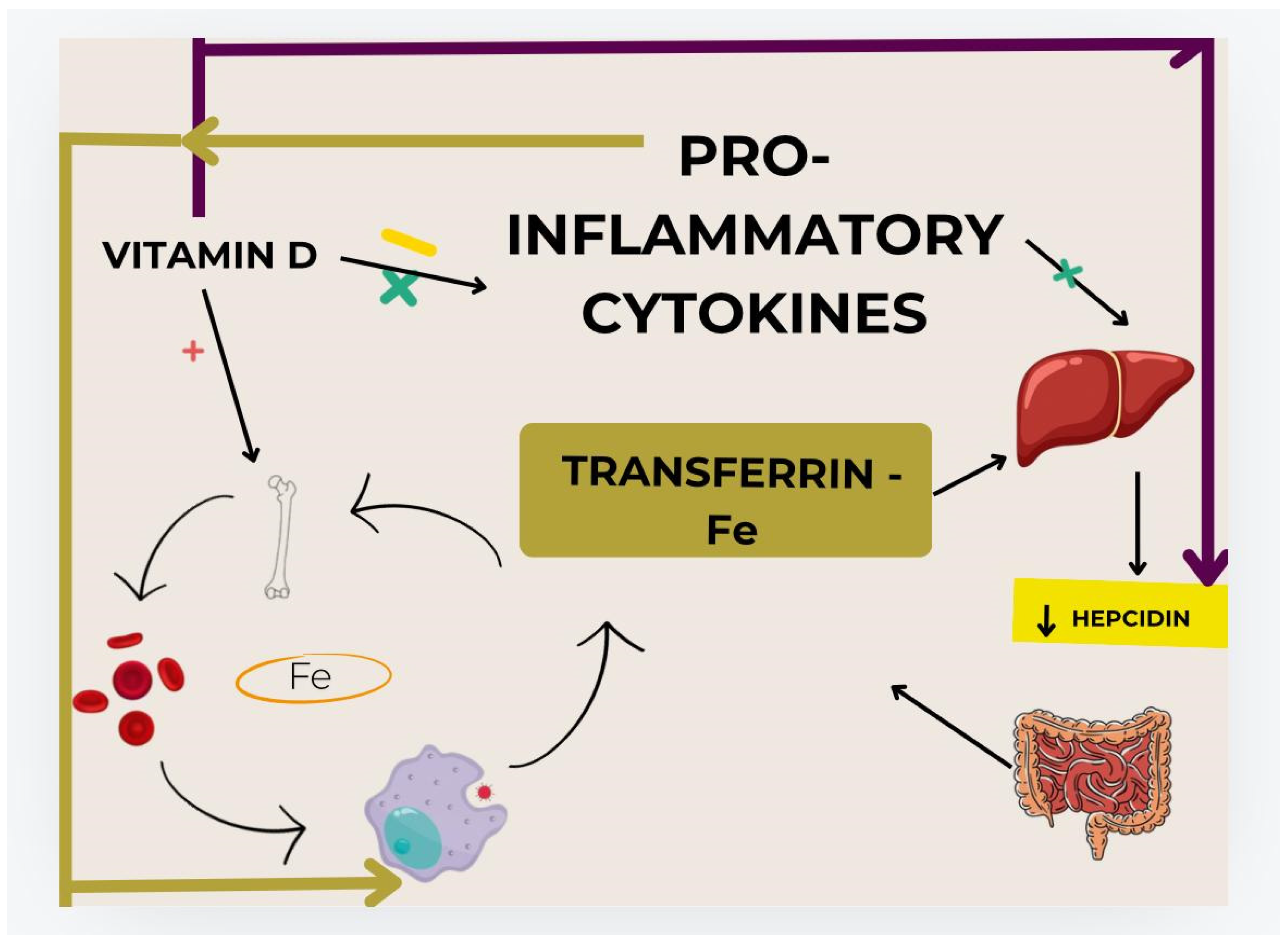 Nutrients 16 03669 g001