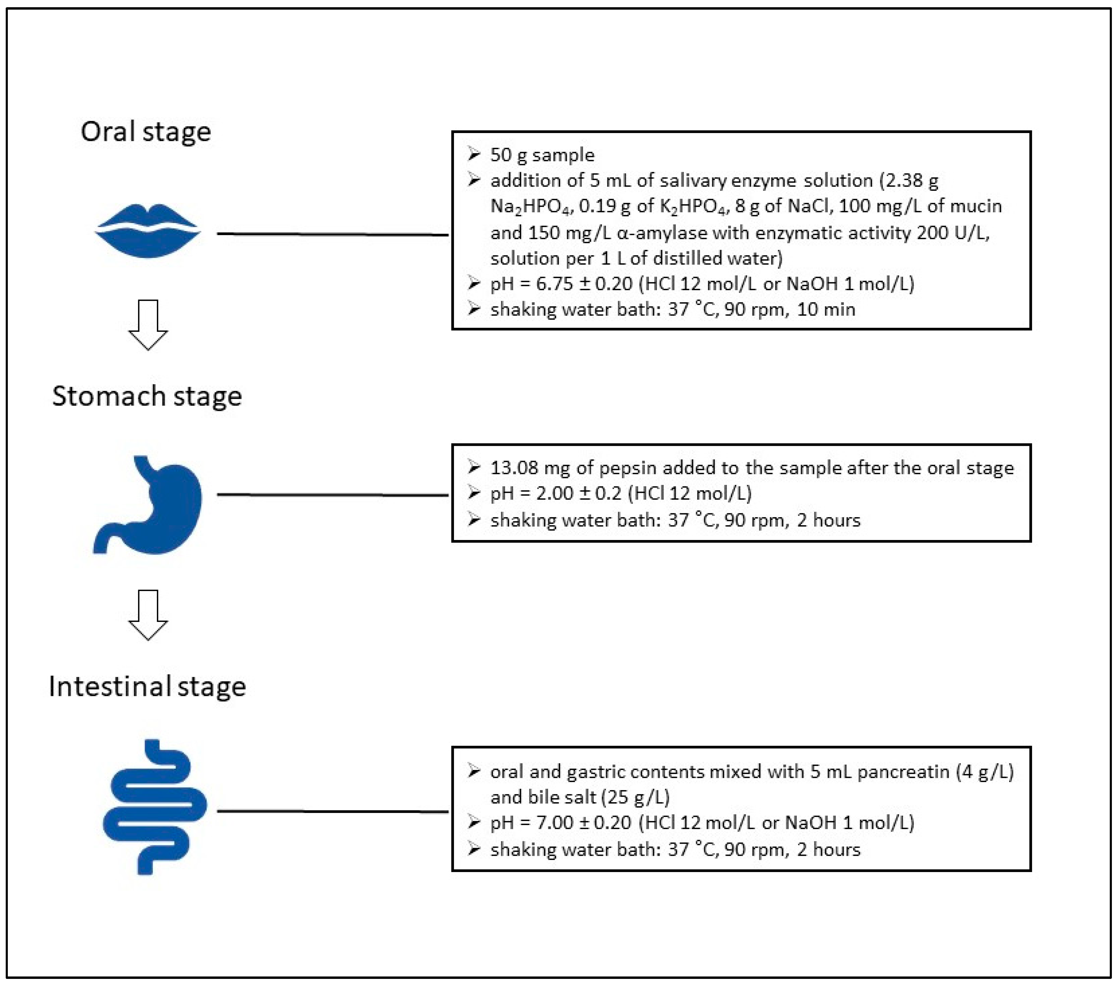 Nutrients 16 03673 g001