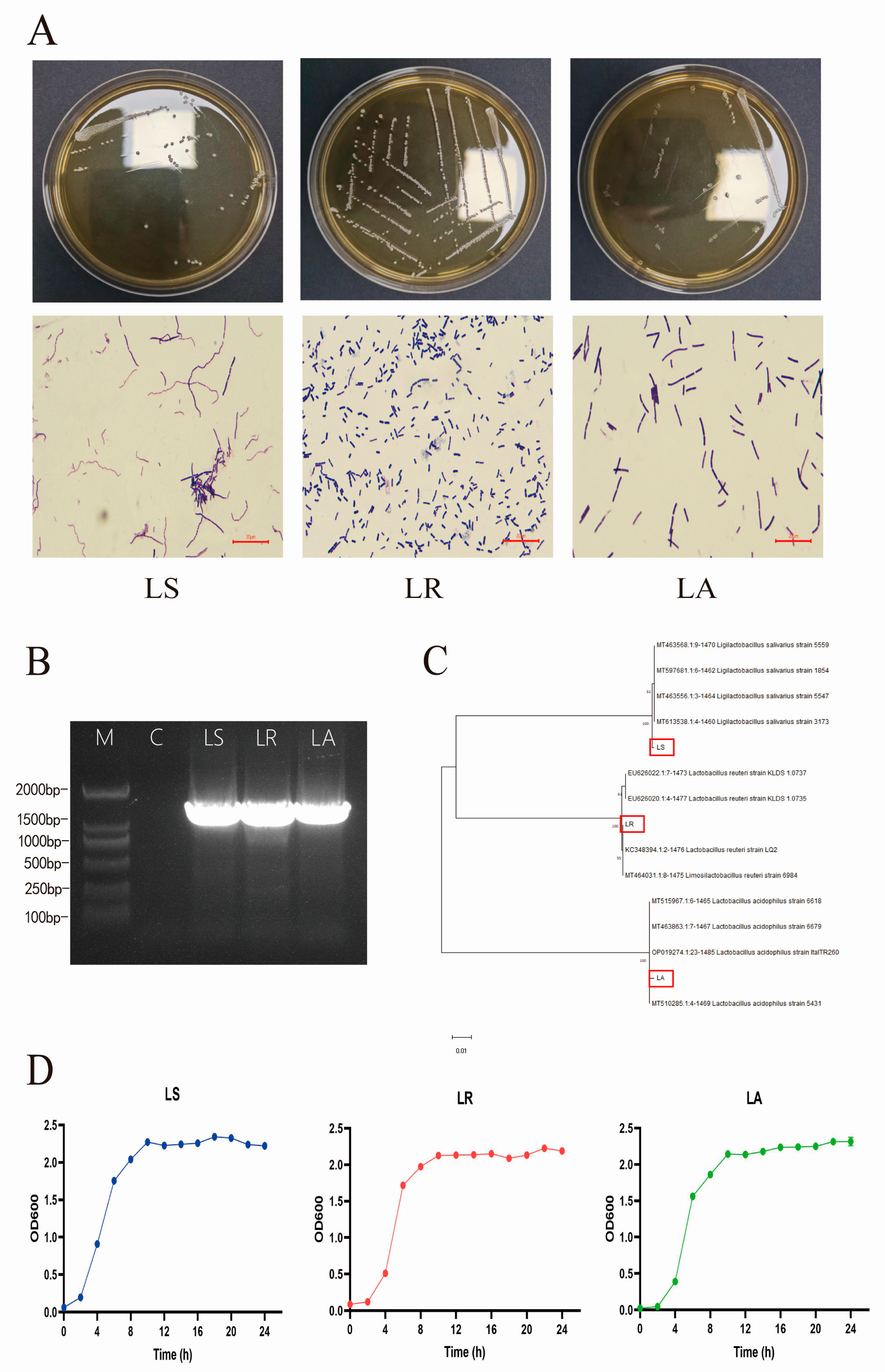 Nutrients 16 03682 g001