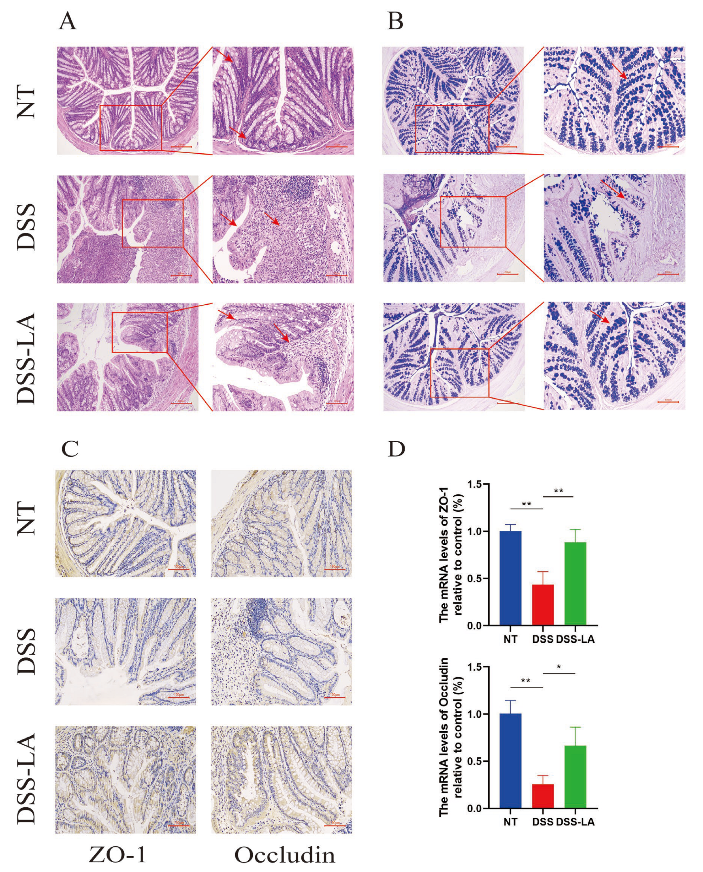 Nutrients 16 03682 g005