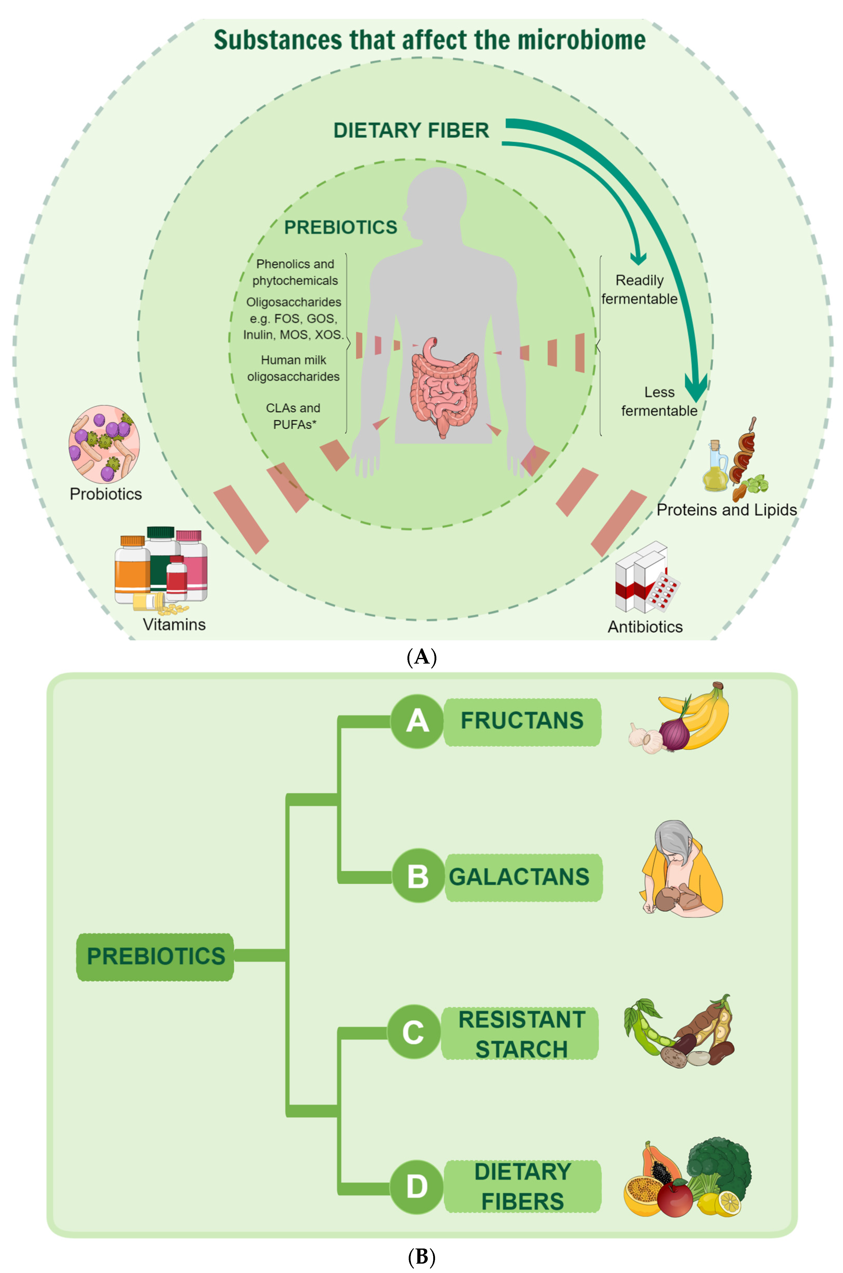 Nutrients 16 03689 g002