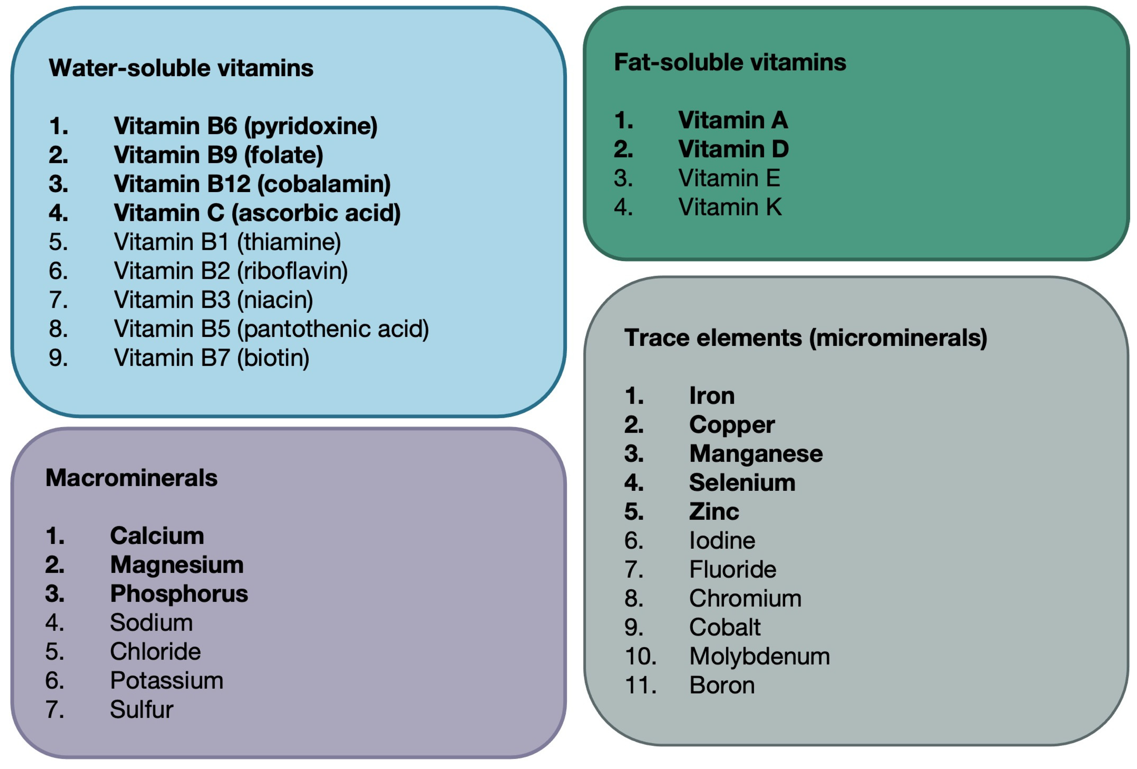 Nutrients 16 03690 g001 Nutrients 16 03690 g001