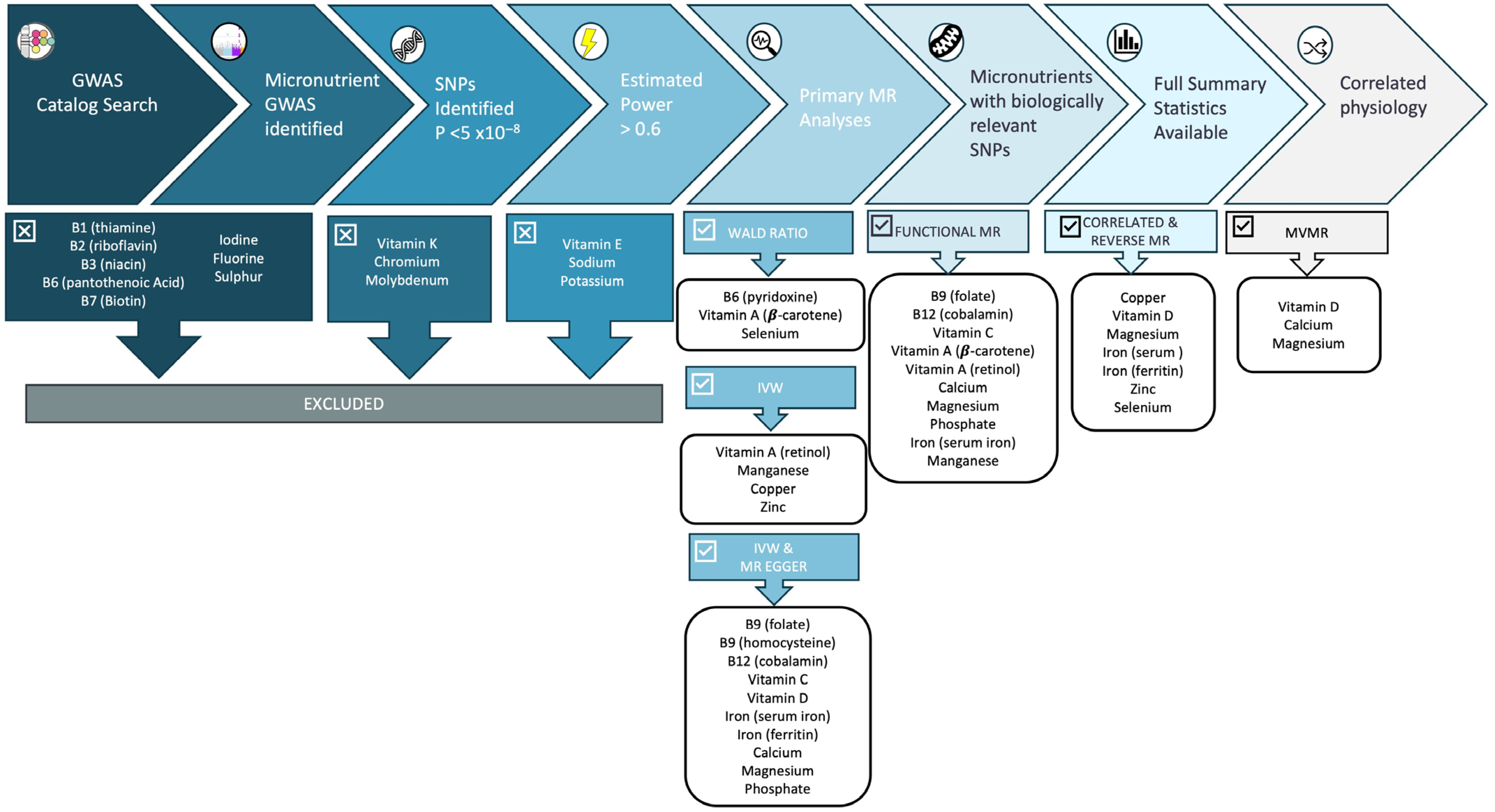 Nutrients 16 03690 g002 Nutrients 16 03690 g002