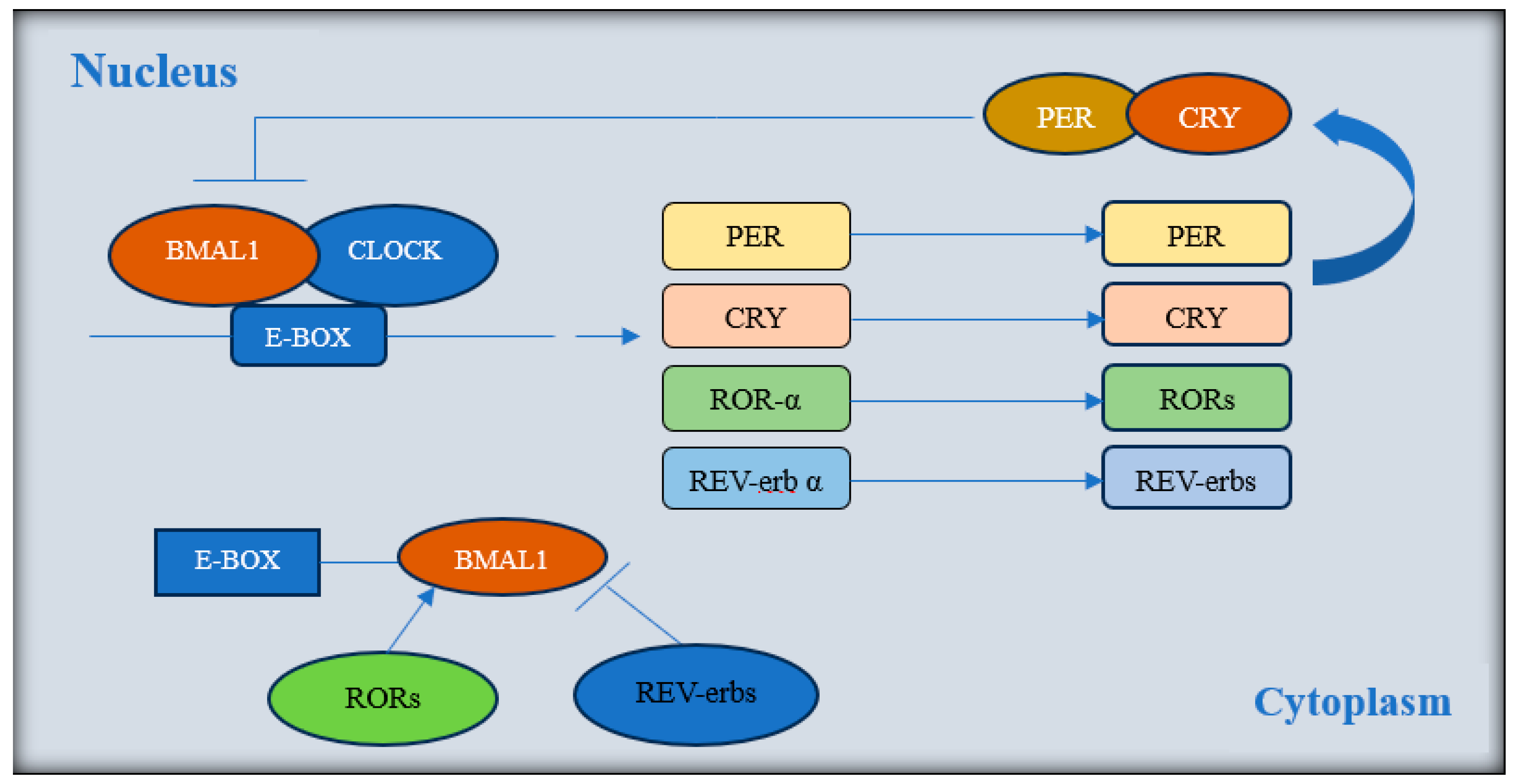 Nutrients 16 03700 g010